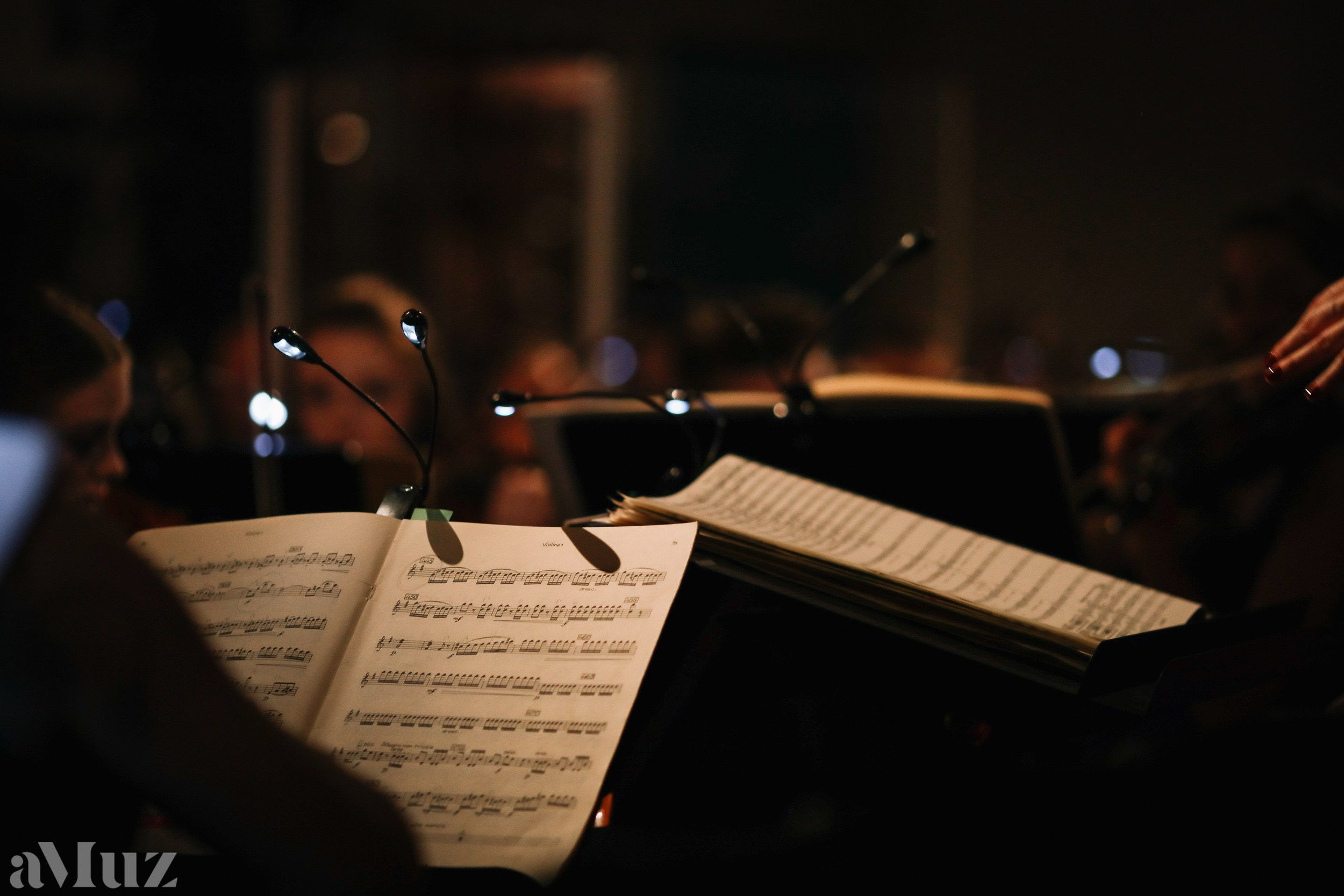 Opera Łąkowa. Fotograf Ślubny Warszawa - Sesje Biznesowe Rodzinne Eventy