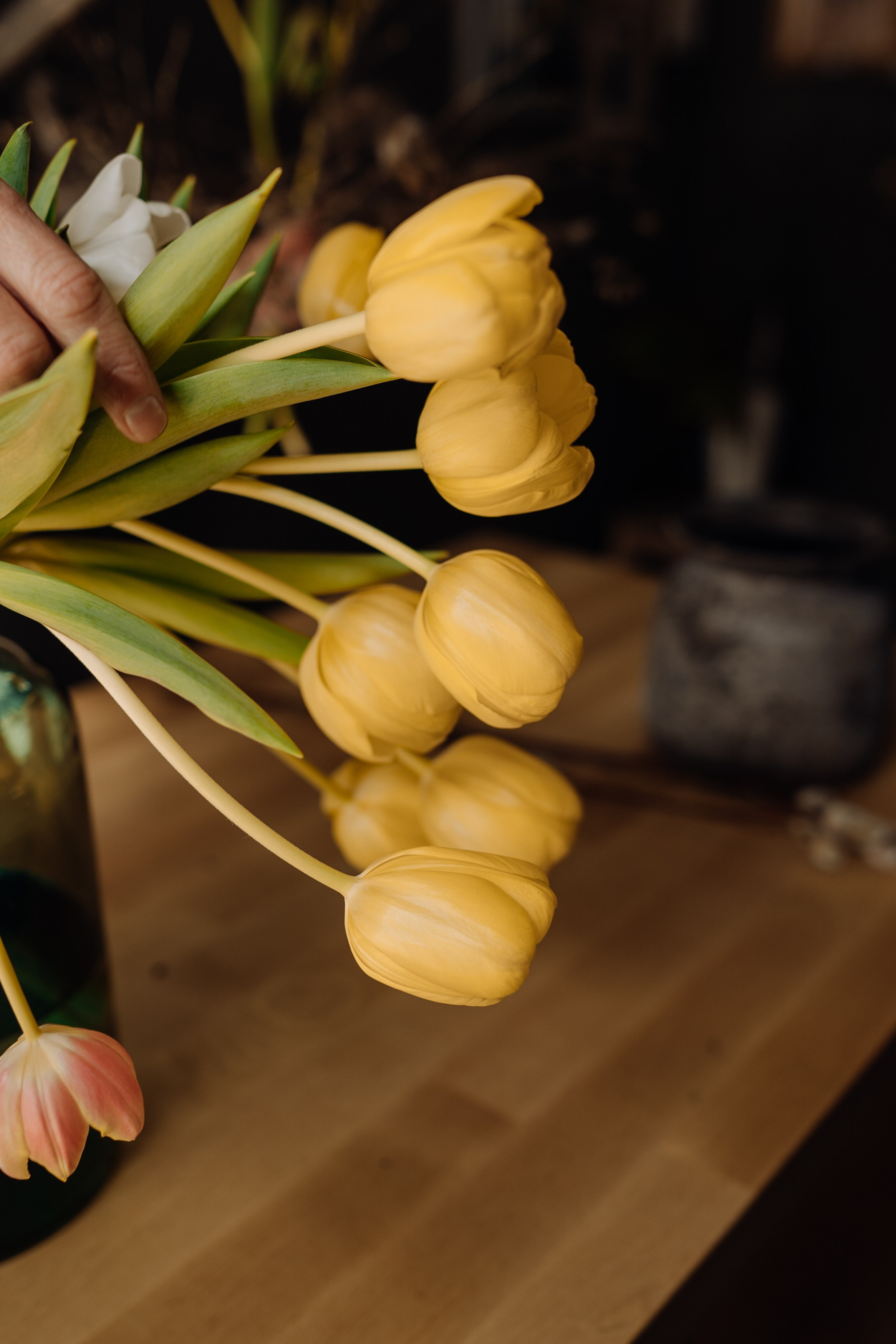Elena. Фотограф в Праге Анна Лебедева