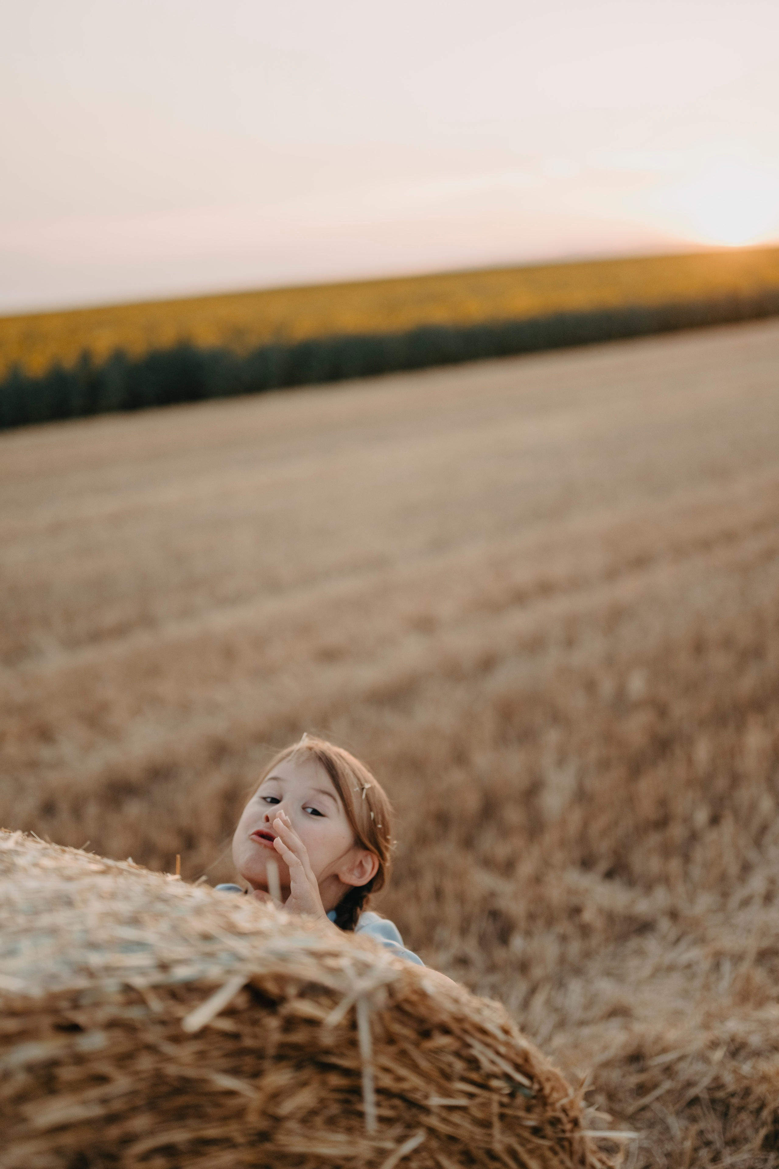 Letnje fotografisanje u polju suncokreta i sena. Deciji i porodicni fotograf u Beogradu Oksana Skendzic
