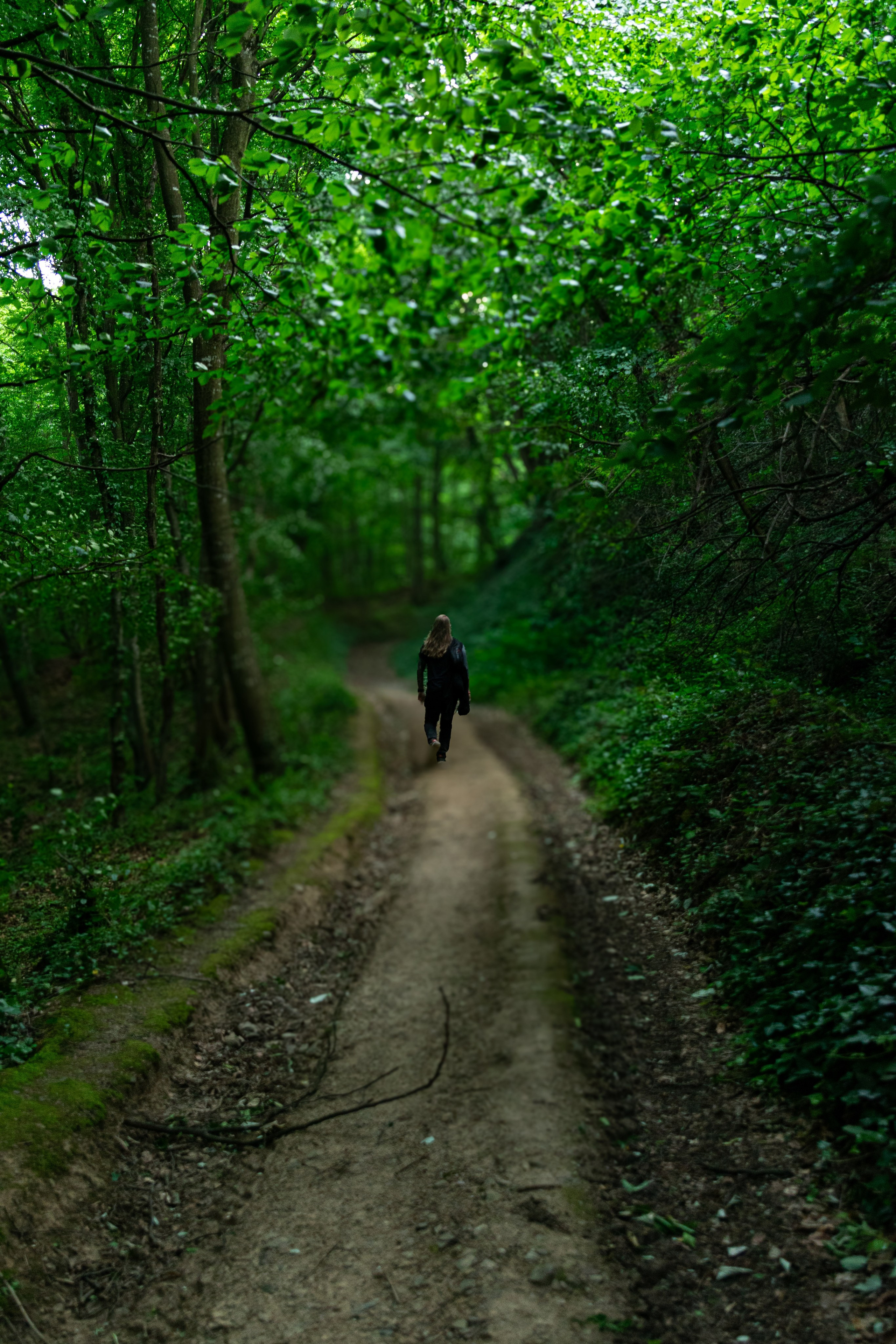 Фрушка Гора, Сербия. Виктория Федосеенко, фотограф в Сербии