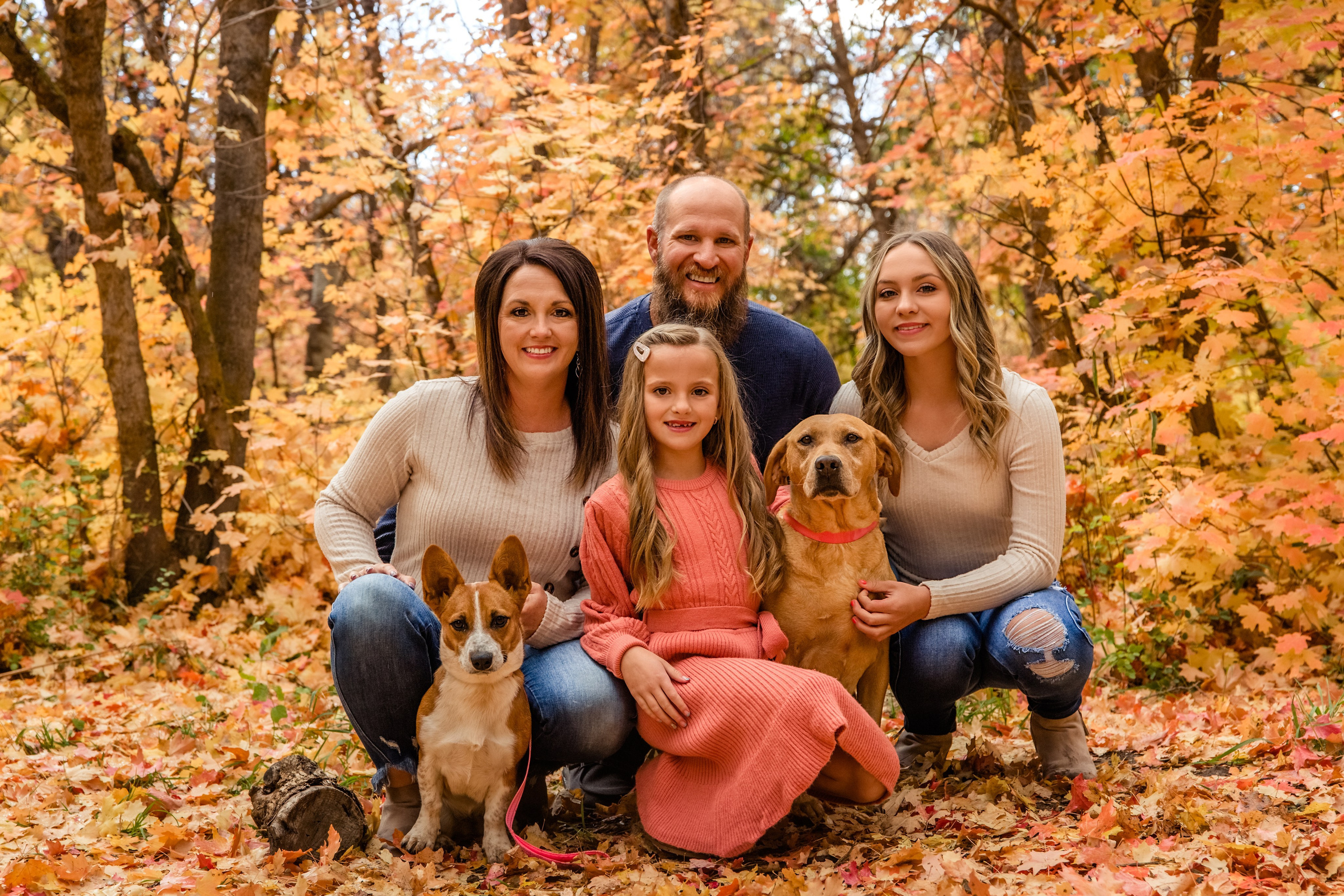 Testimonials. Wedding photographer Utah. Weddings, Families, Portraits