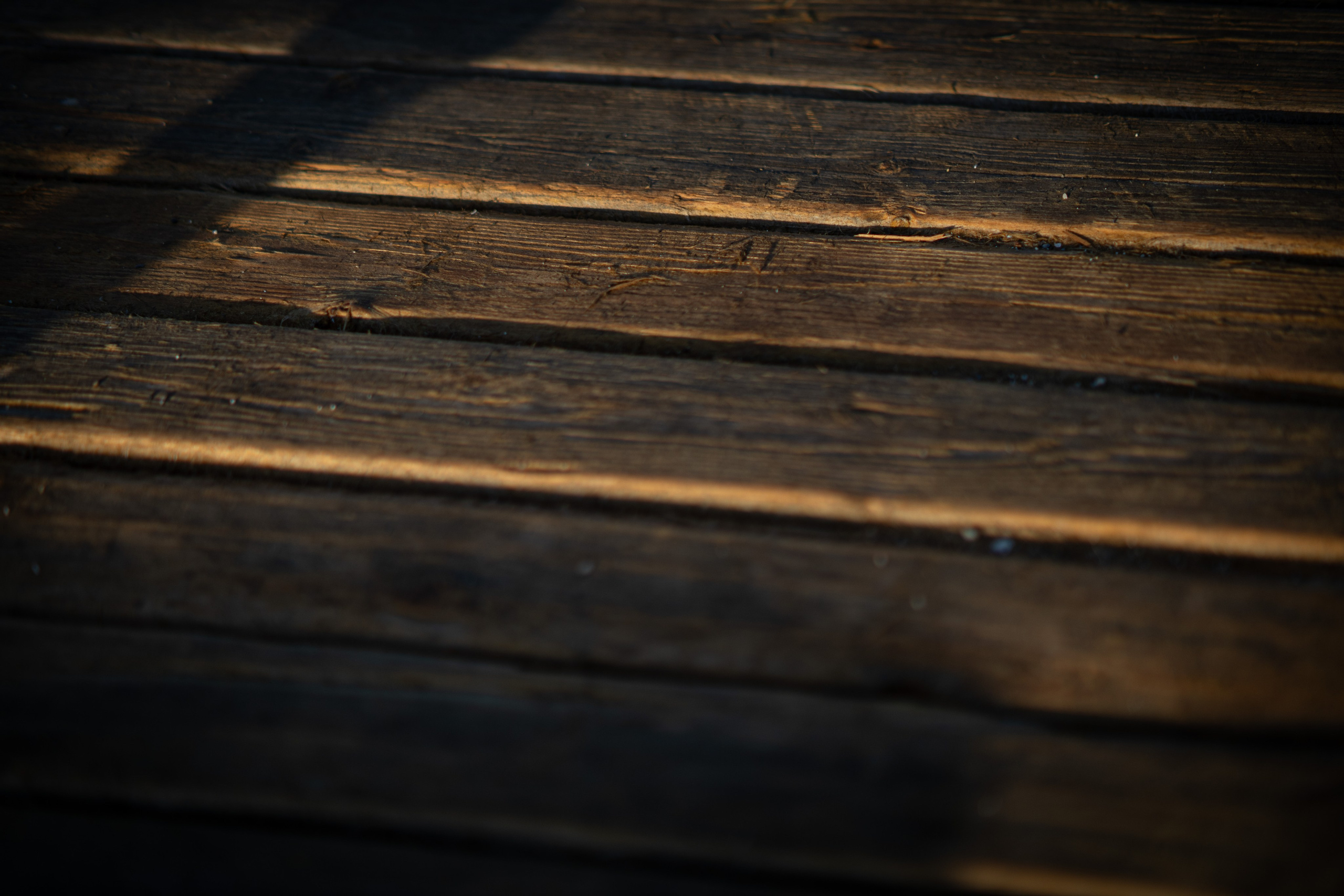 Wunderschöne Frauen. Fotografin Kati Rebling