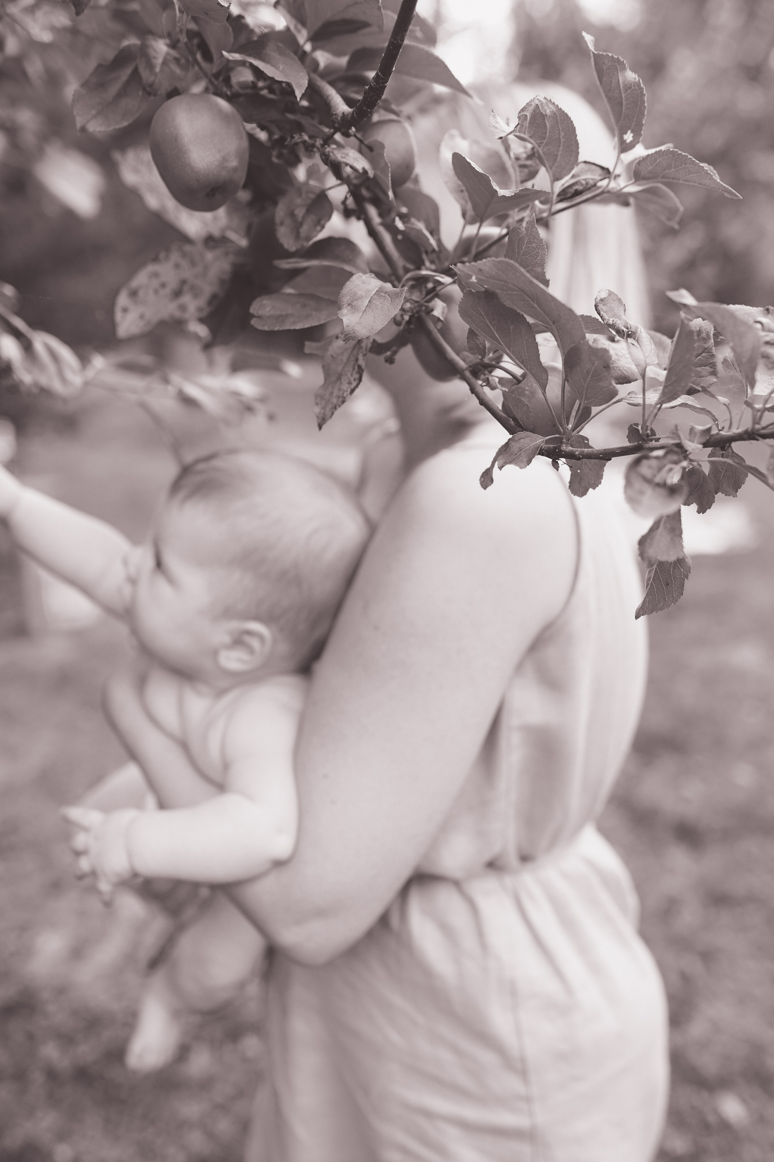 Mother Earth: Proiect de Fotografie Maternitate | Mădălina Beda. Madalina Beda- Artist vizual, fotograf, doula la nastere, consultant babywearing Brasov si in toata tara