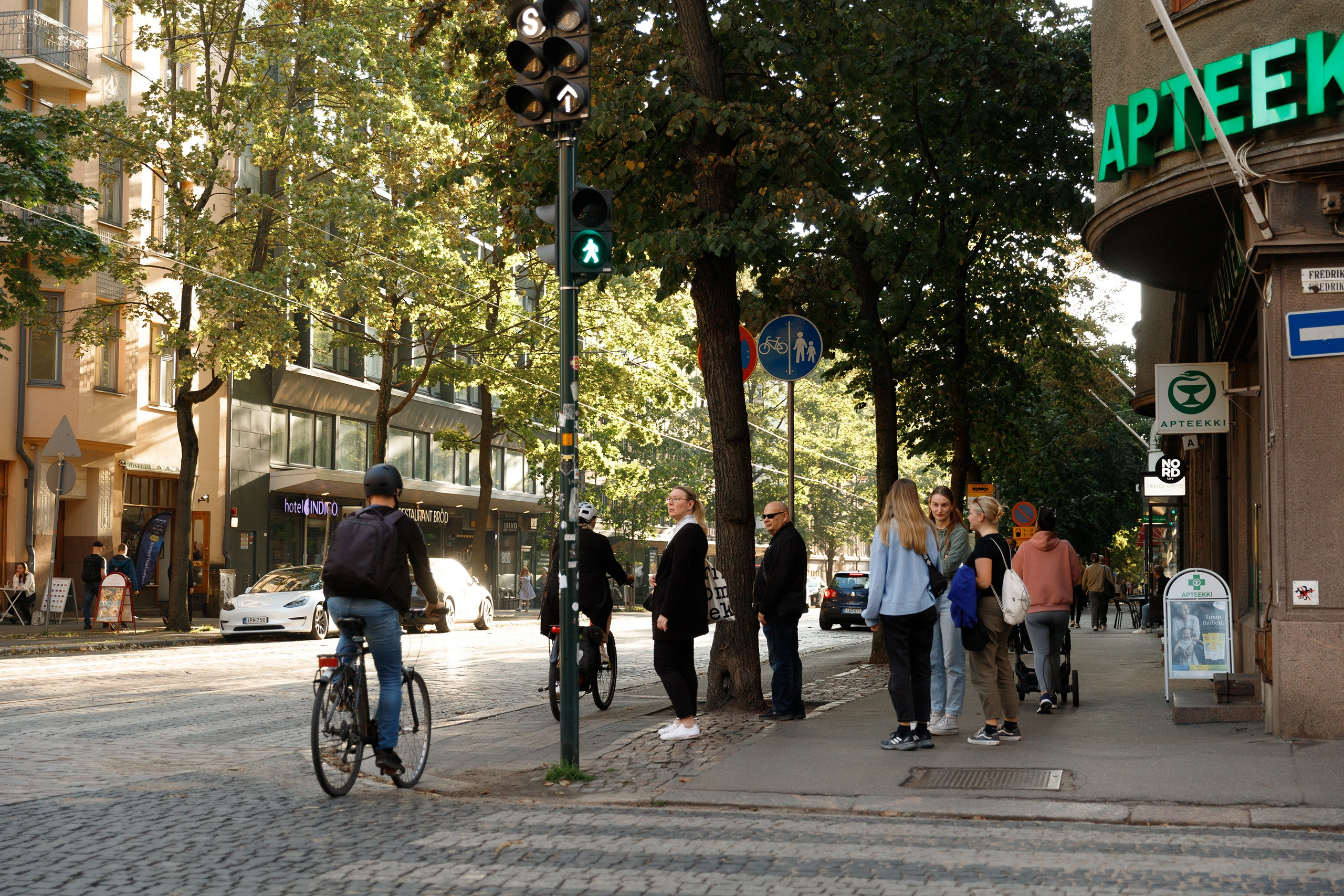 Helsinki. Kaja | fotograf psów we Wrocławiu