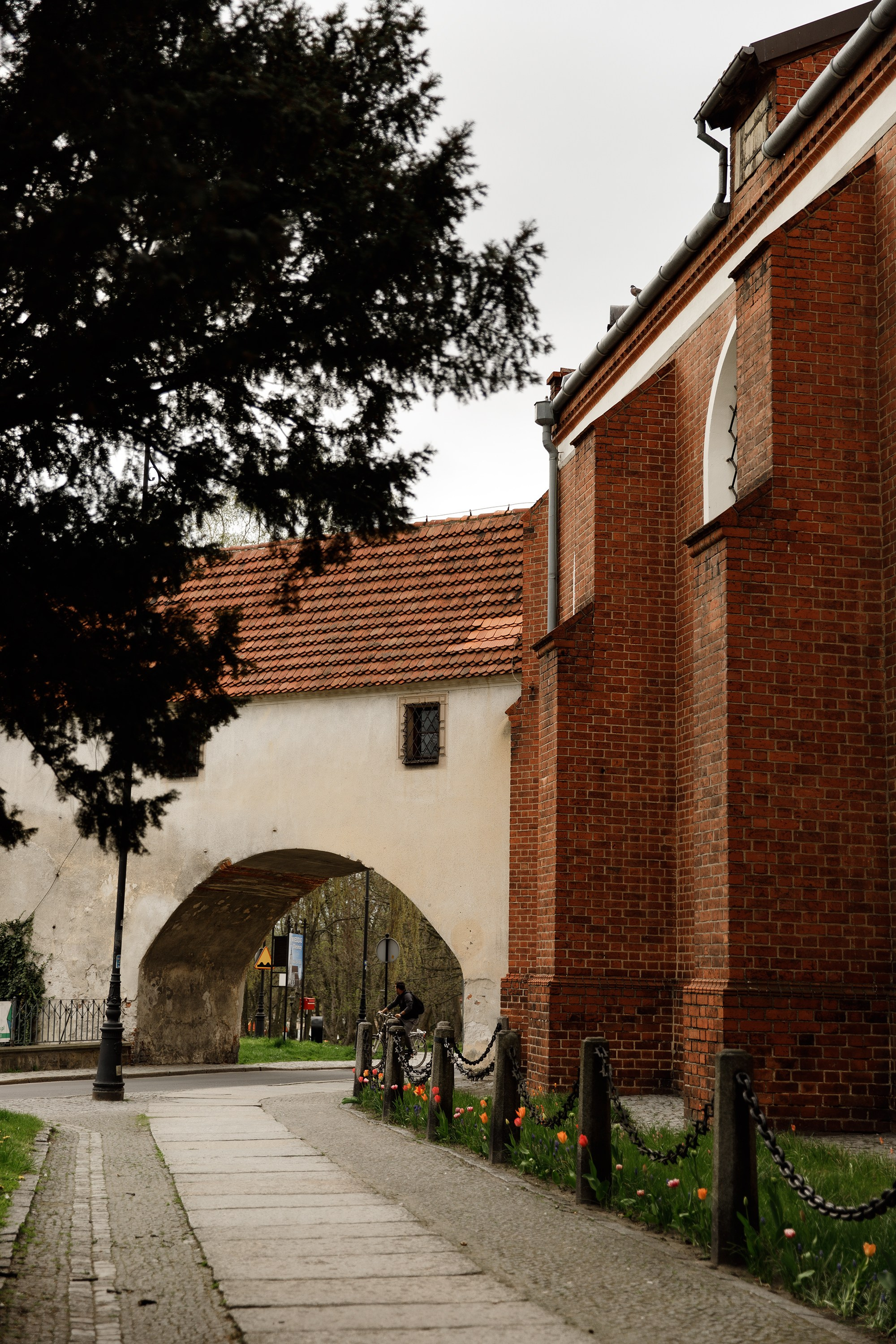 Oleśnica castle. Kaja | fotograf psów we Wrocławiu