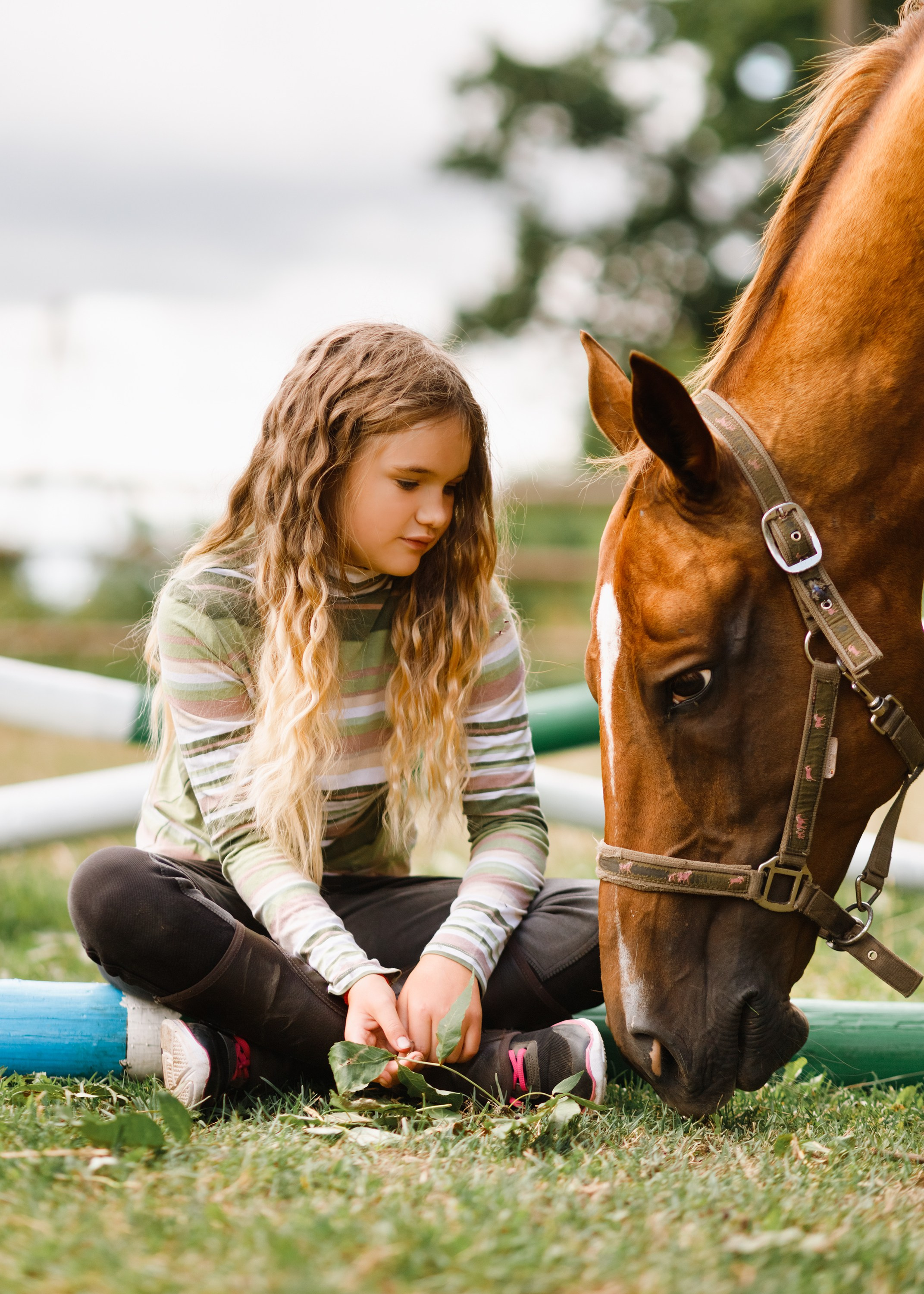 Girls & horses, summer. Kaja | fotograf psów we Wrocławiu