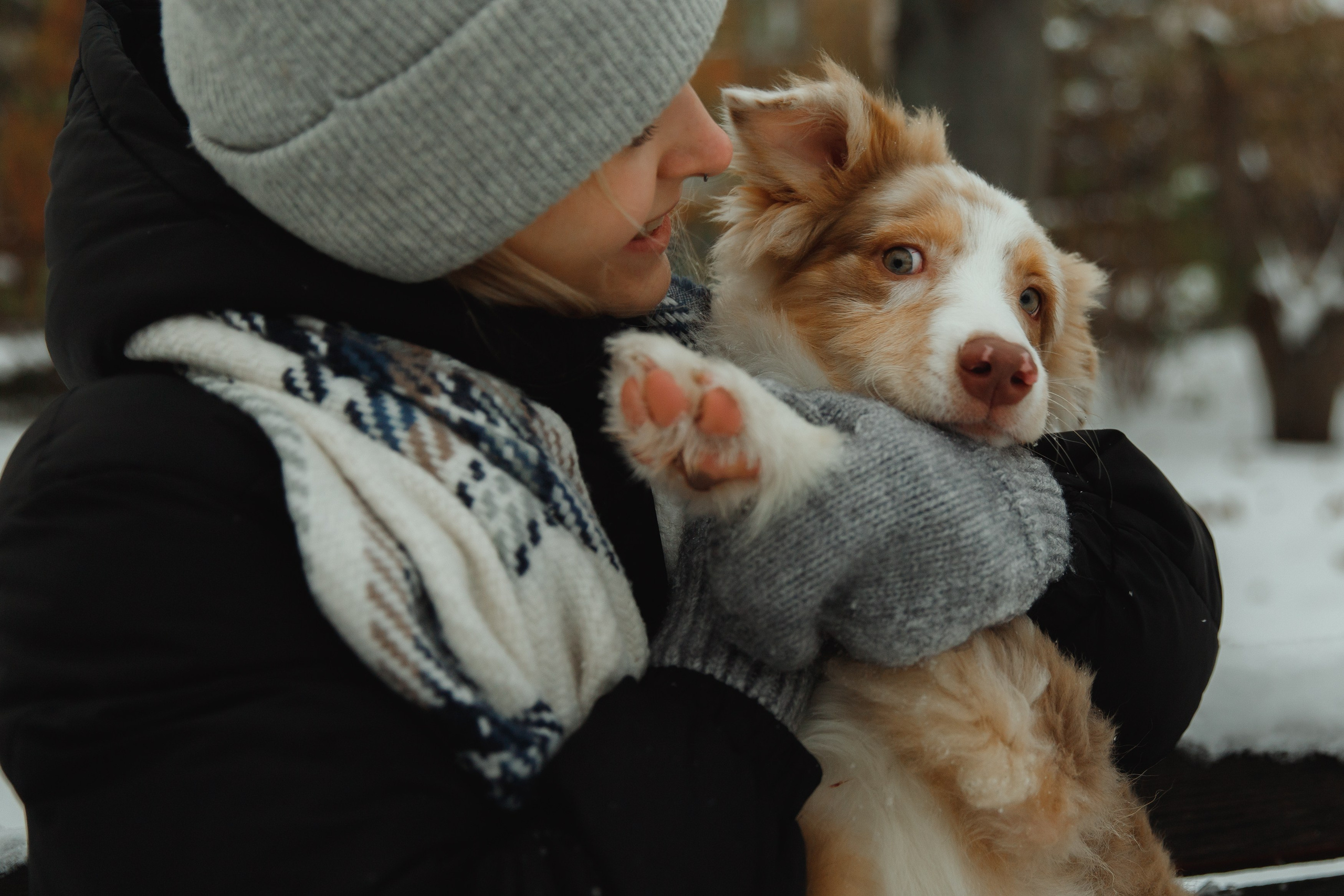 Fotografia psów Wrocław. Kaja | fotograf we Wrocławiu | ludzie i psy