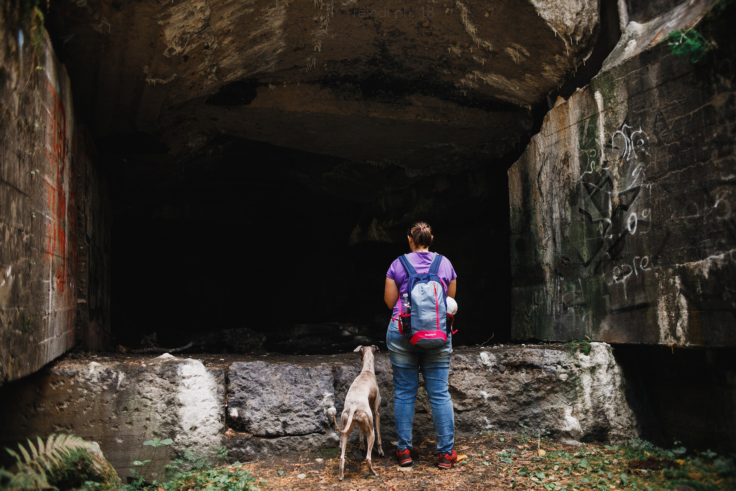 «Kasmach» dogs ammunition. Kaja | fotograf we Wrocławiu | ludzie i psy