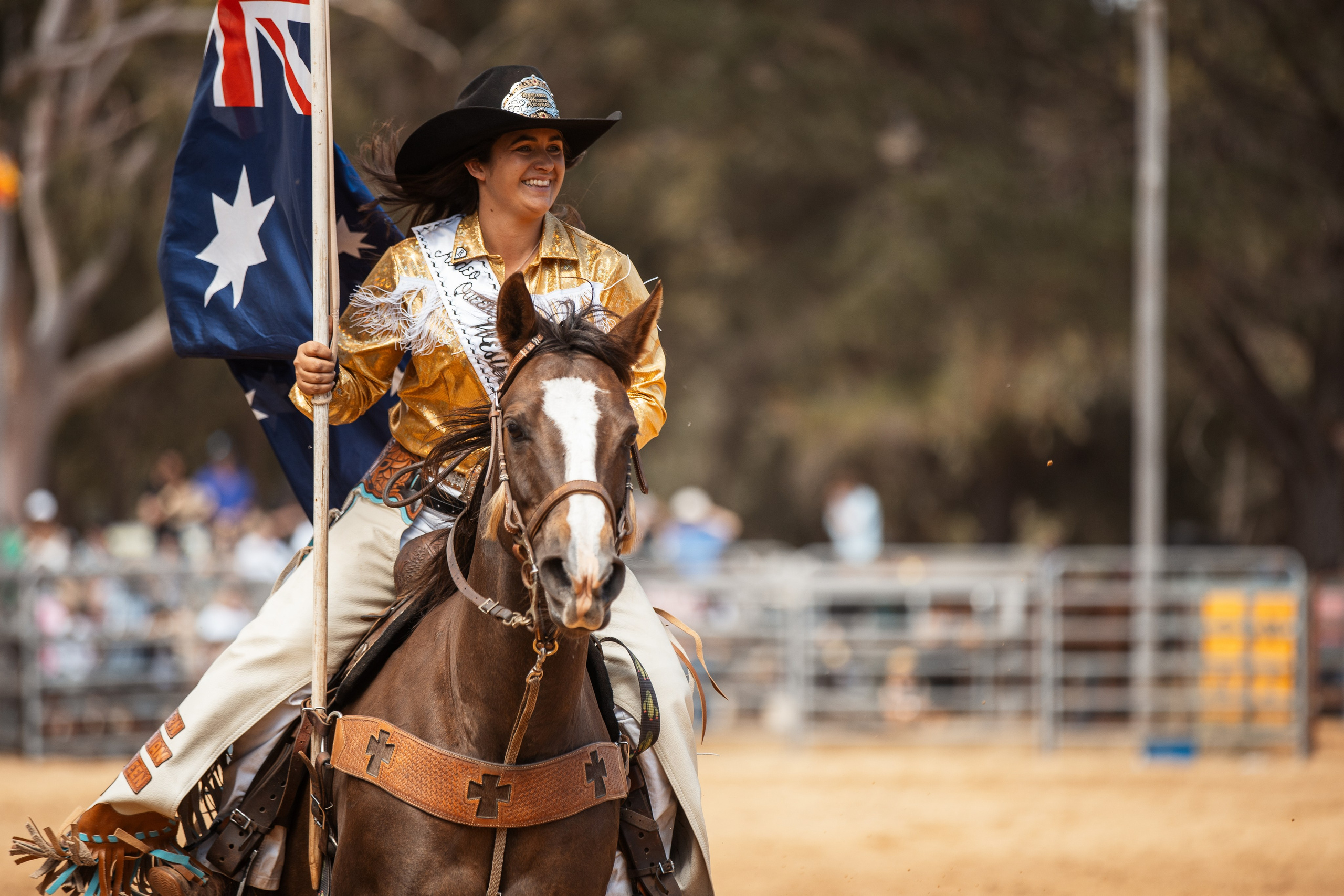 Selection of photos from different rodeos