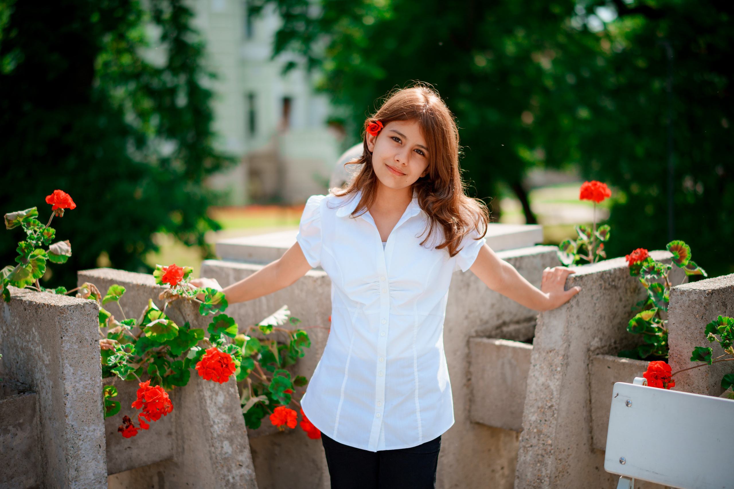 Clasa 4-a. Trendy Albums