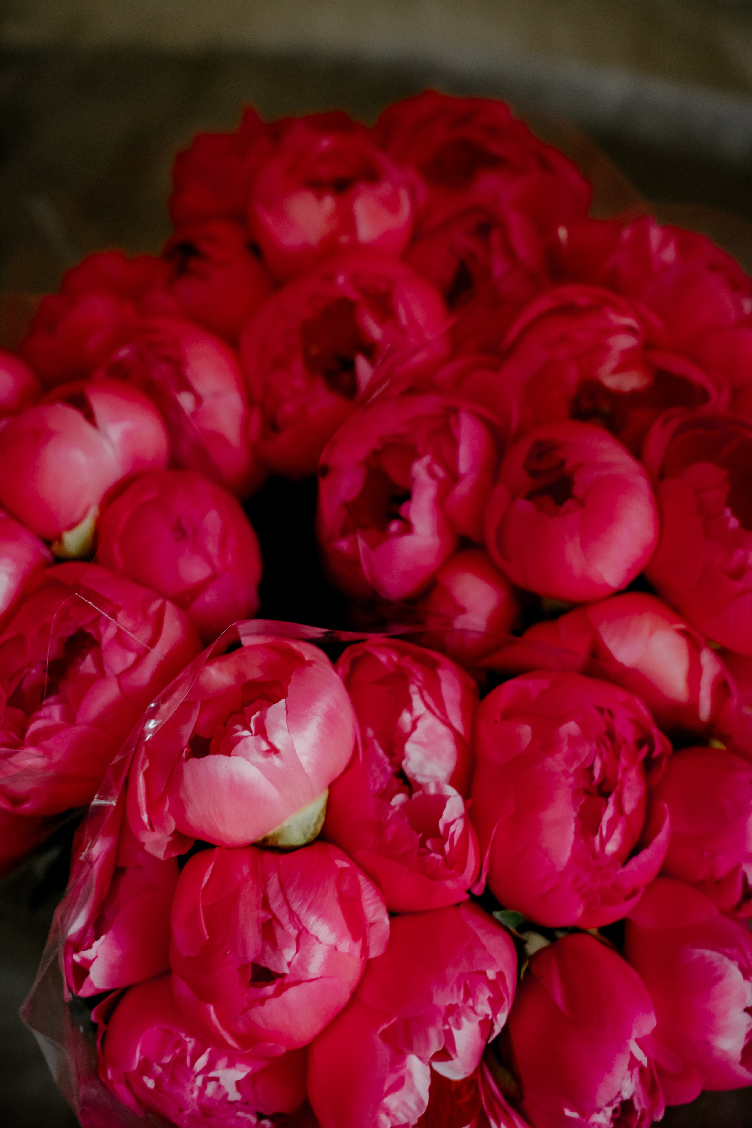 Classic Tuscany Wedding. Wedding Photographer in Italy