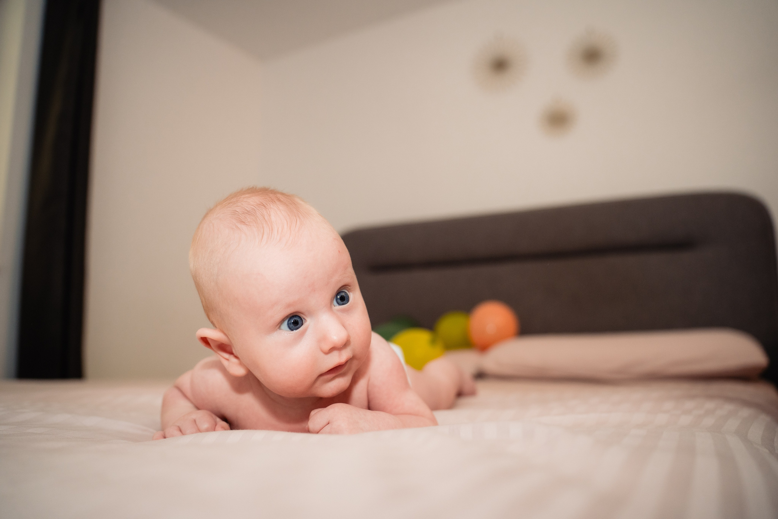 Matthias. Fotograf Nuntă în Gorj - Gabriel Vulpescu