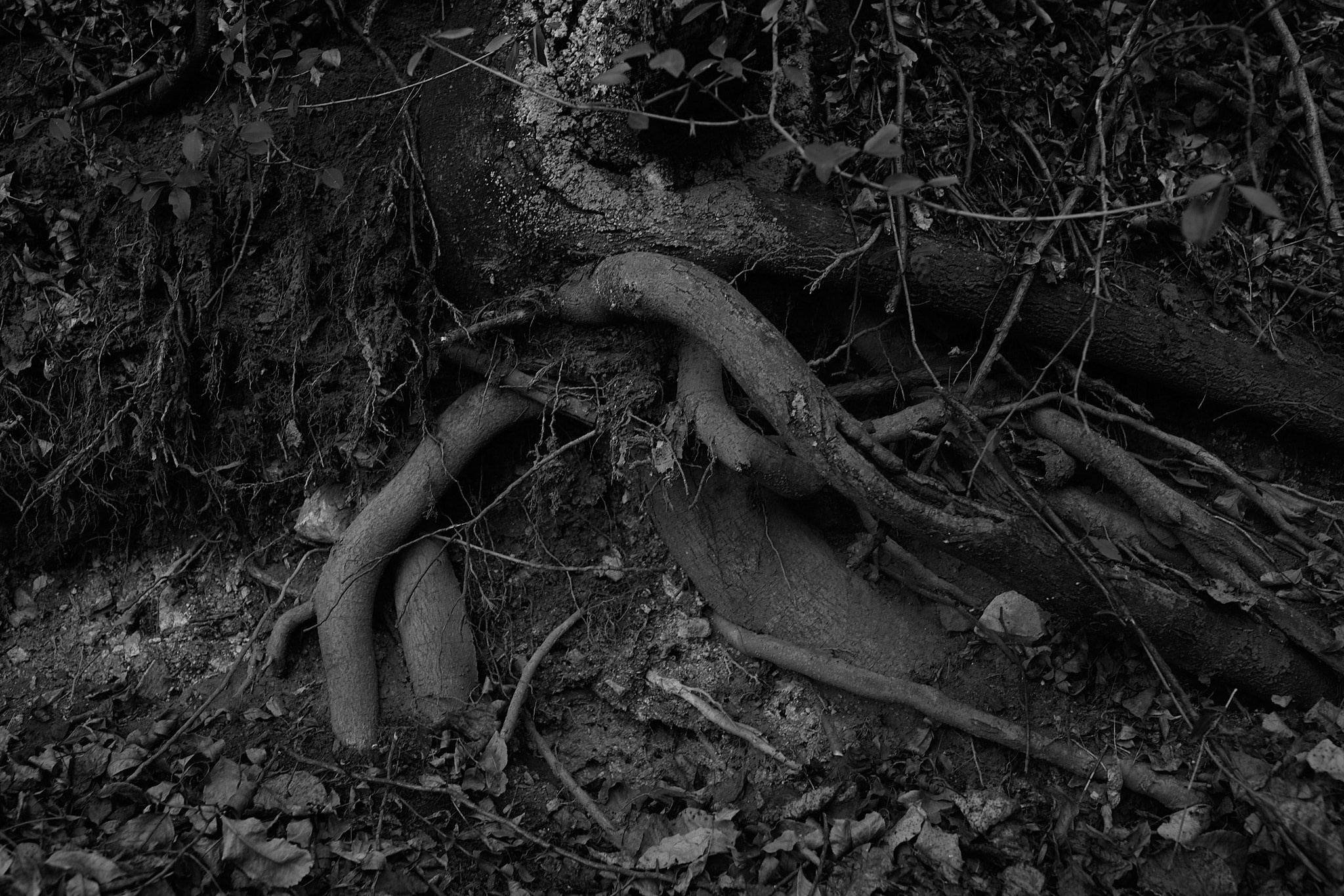 This is not your home. Visual artist