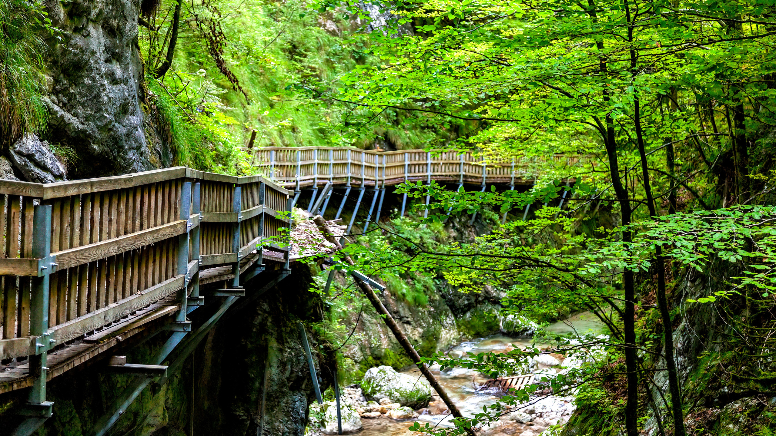 195.Nothklamm.Austria.20.8.2025. Путешествия в формате 360......