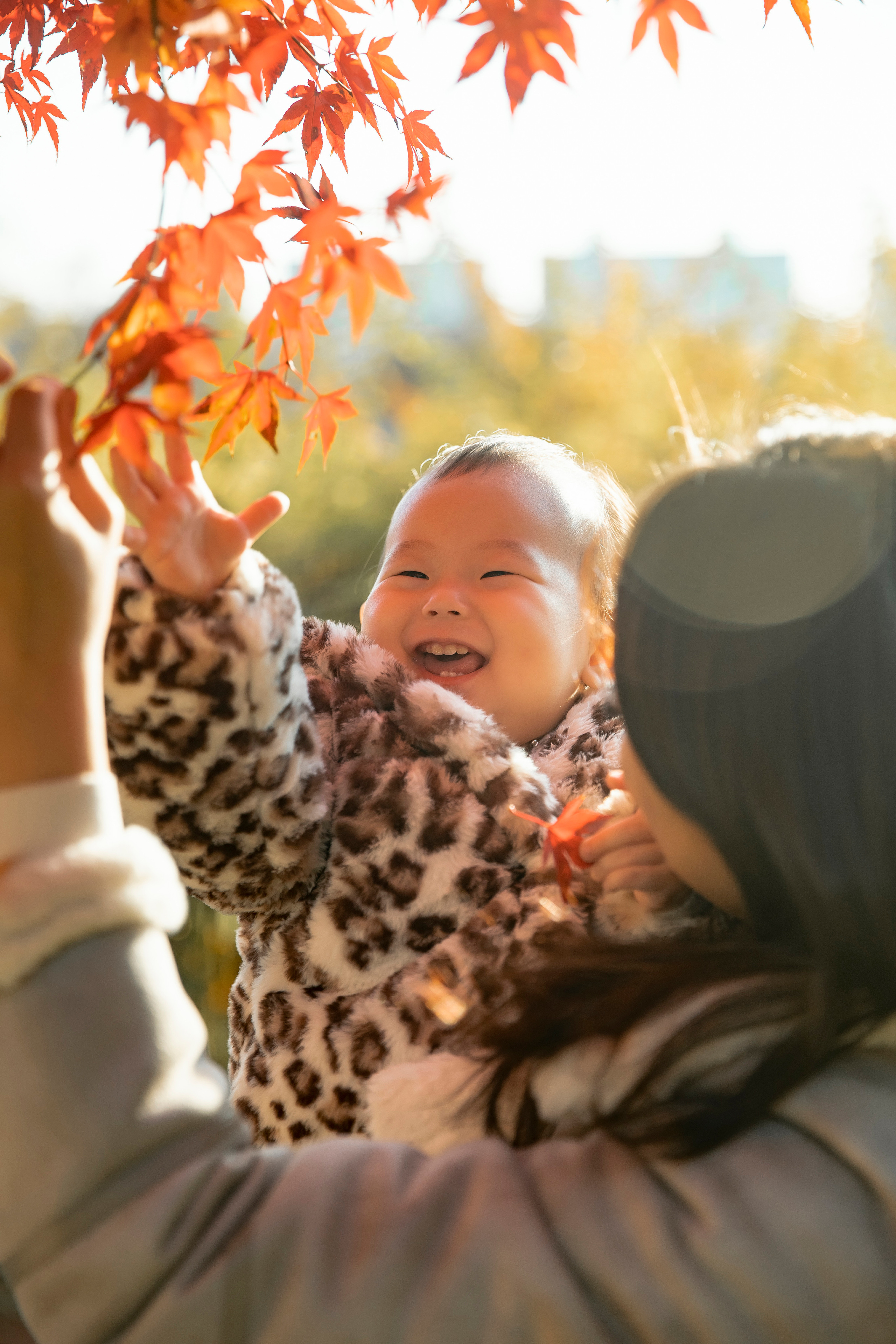 Асянди. Свадебный и семейный фотограф в Южной Корее Виктор Хван