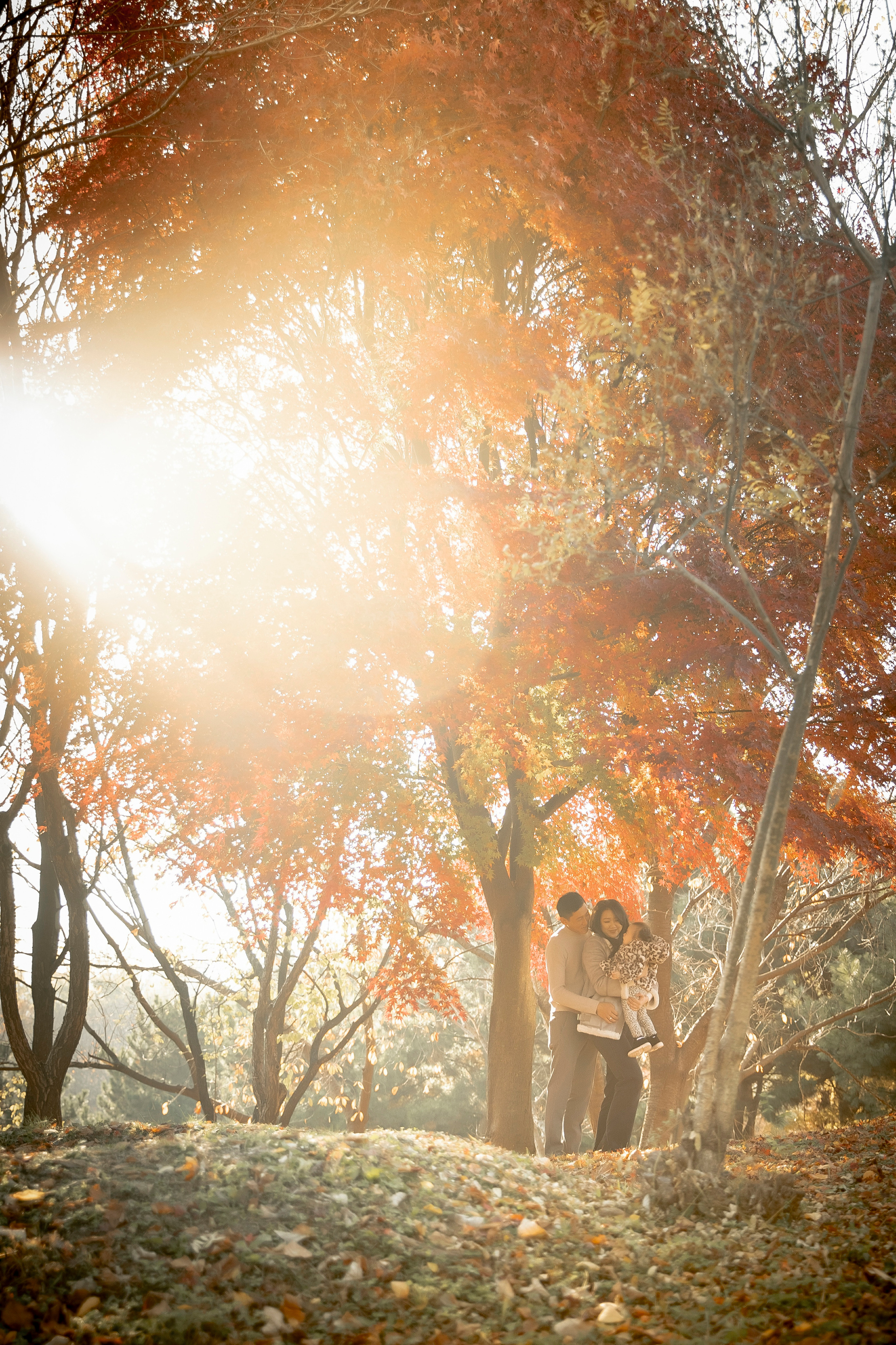 Асянди. Свадебный и семейный фотограф в Южной Корее Виктор Хван