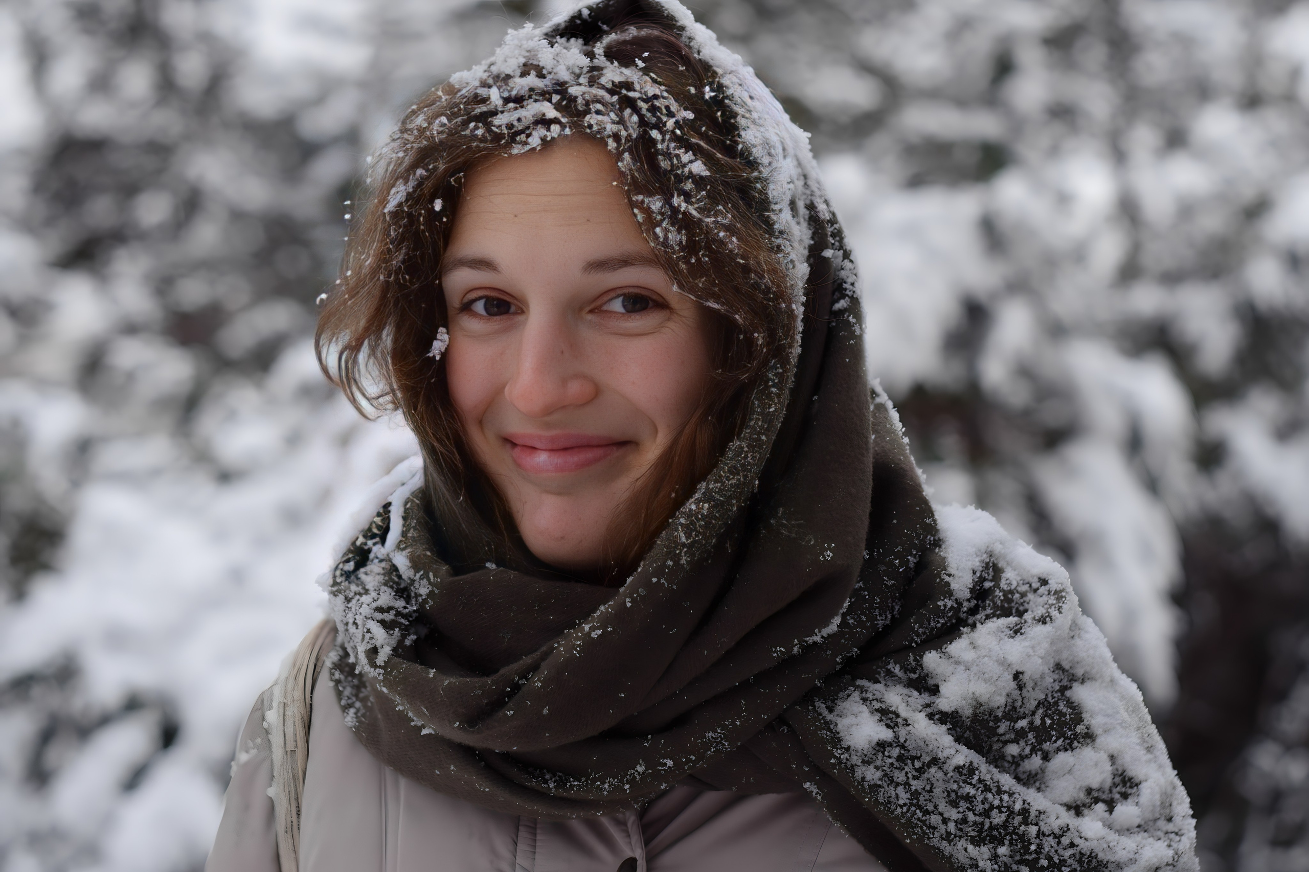Первый снег в Нови-Саде…. Виктория Федосеенко, фотограф в Сербии