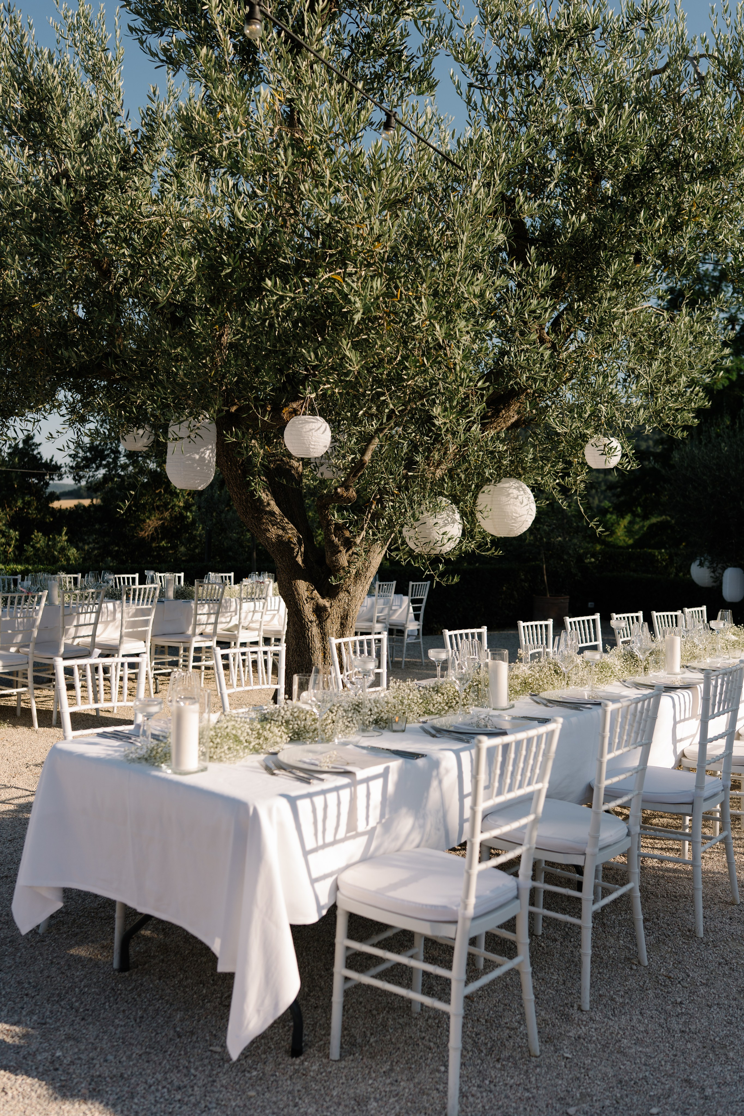 Sofia&Falk. Весільний фотограф Вікторія Саврук
