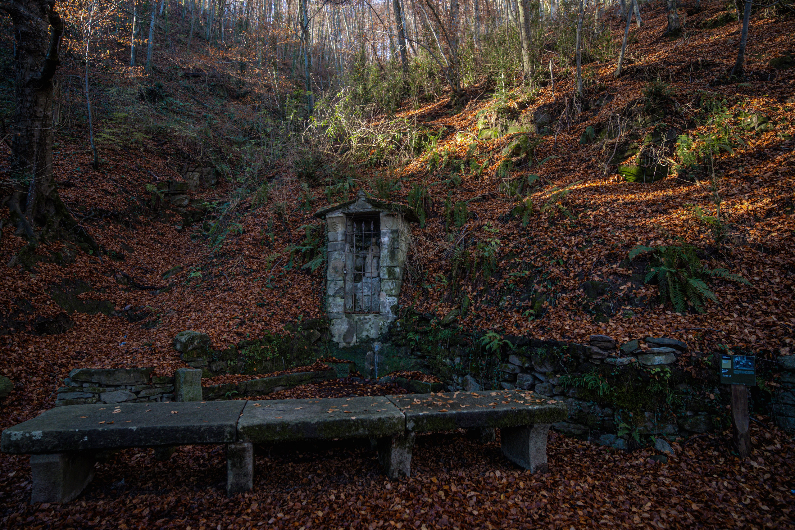 Rupit. Alba del Norte Studio