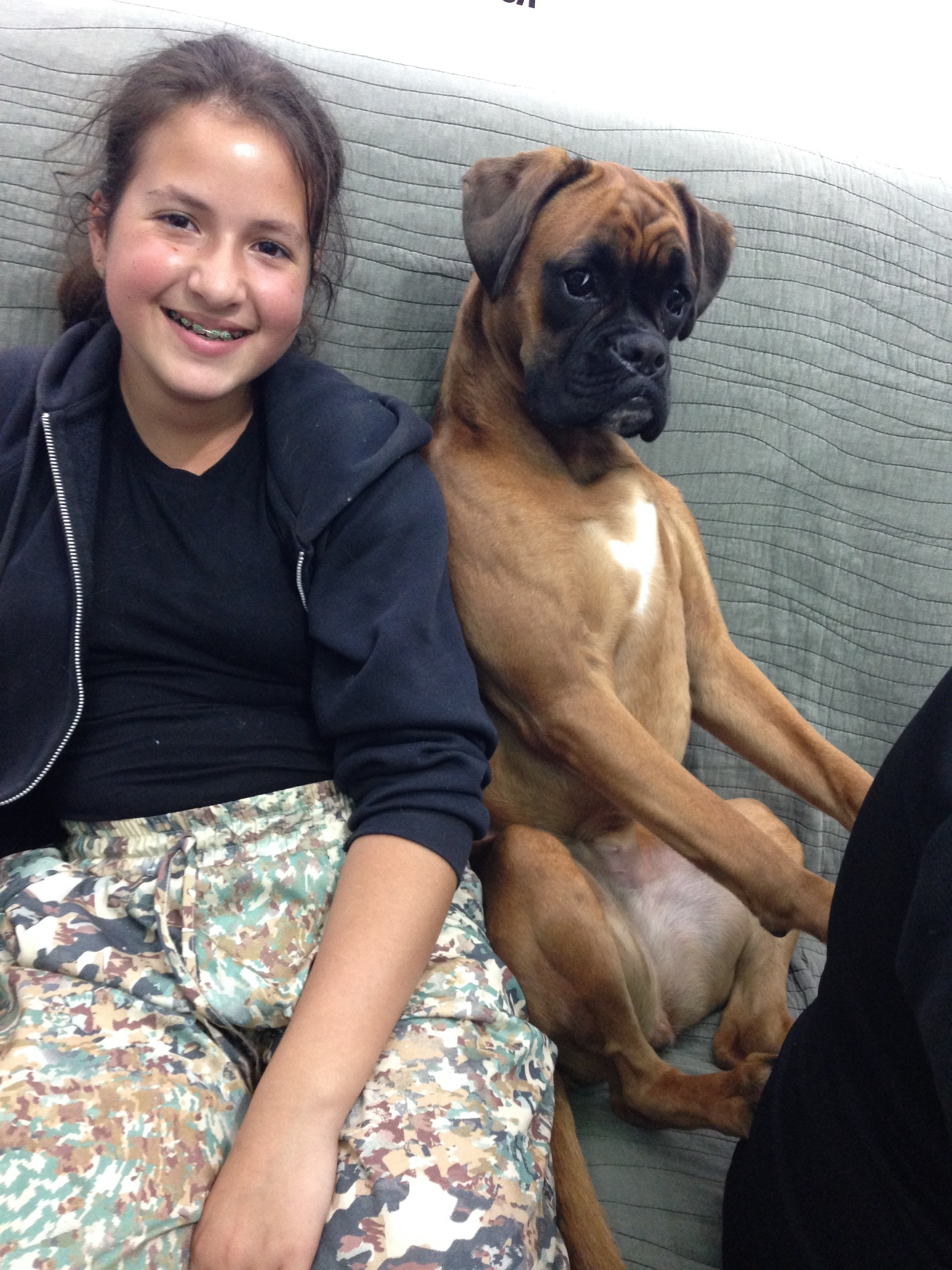 My ״Star״ Boxer Dog