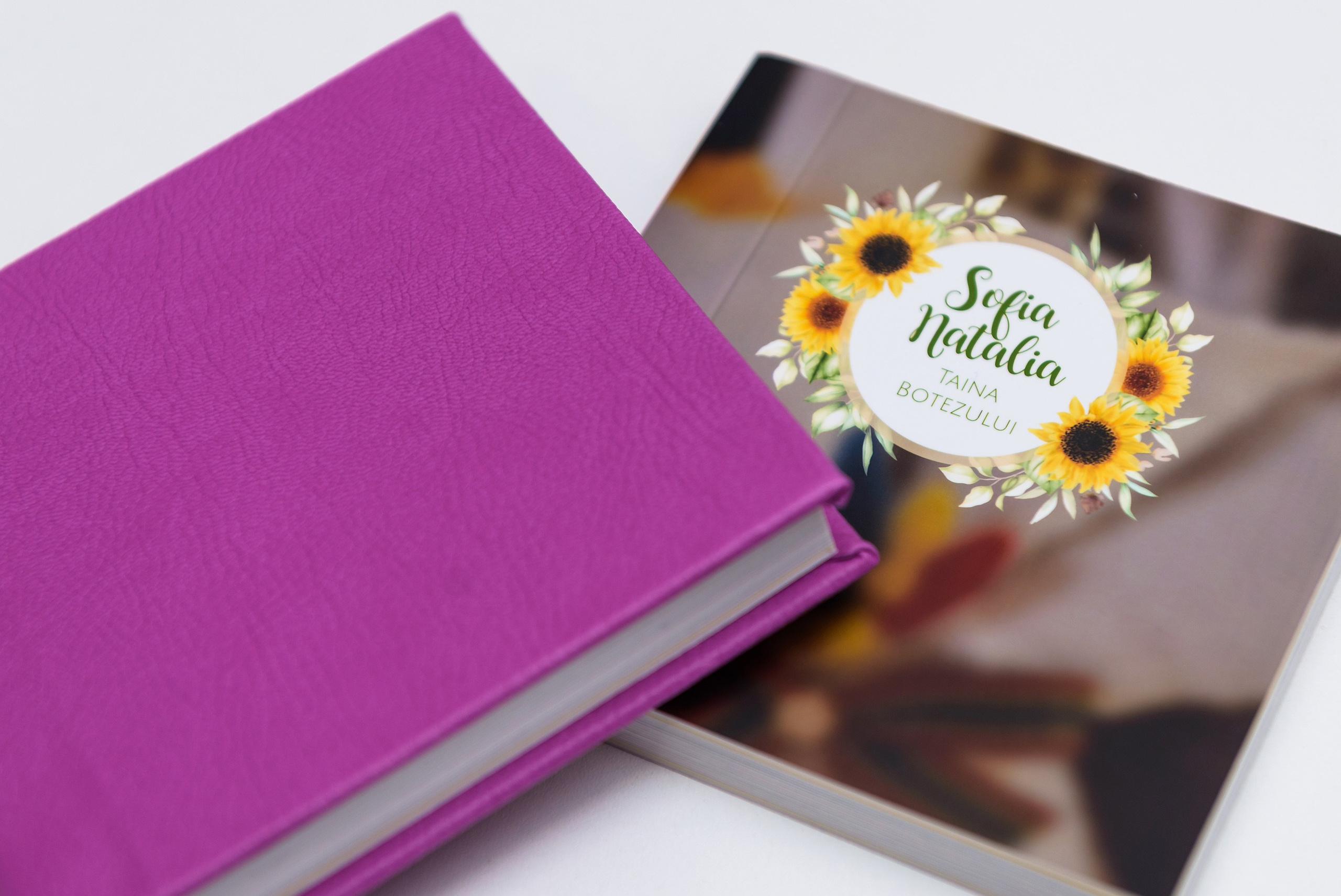 Albume Bogdan Palenciuc