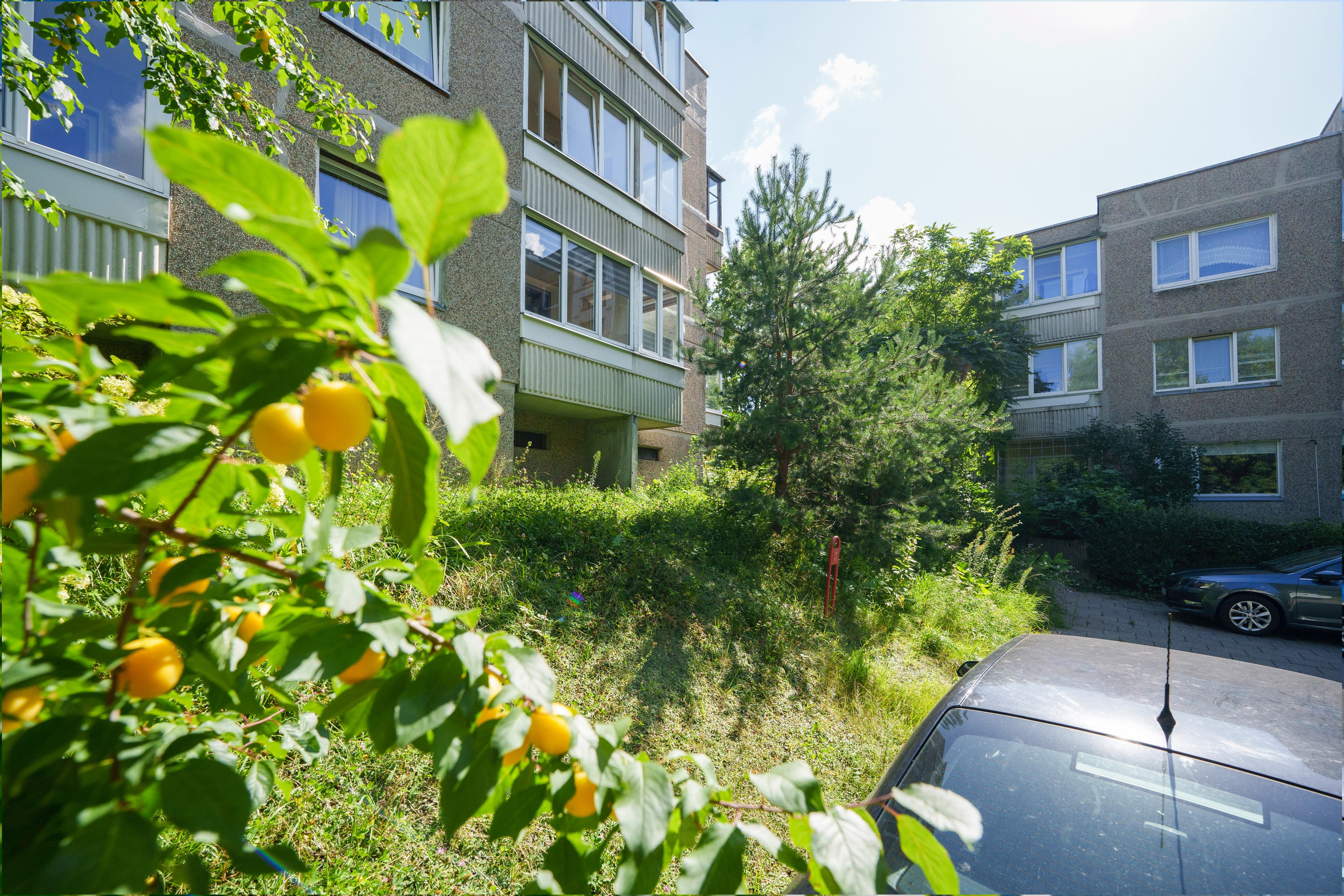 Gabijos g. Elina Sapiega fotografė Vilniuje