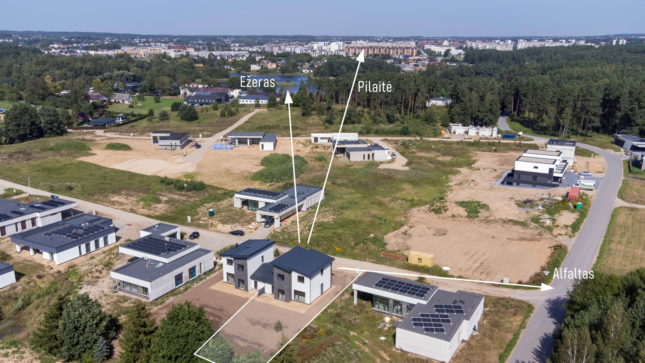 Debesų g. 4, Salotė. Elina Sapiega fotografė Vilniuje