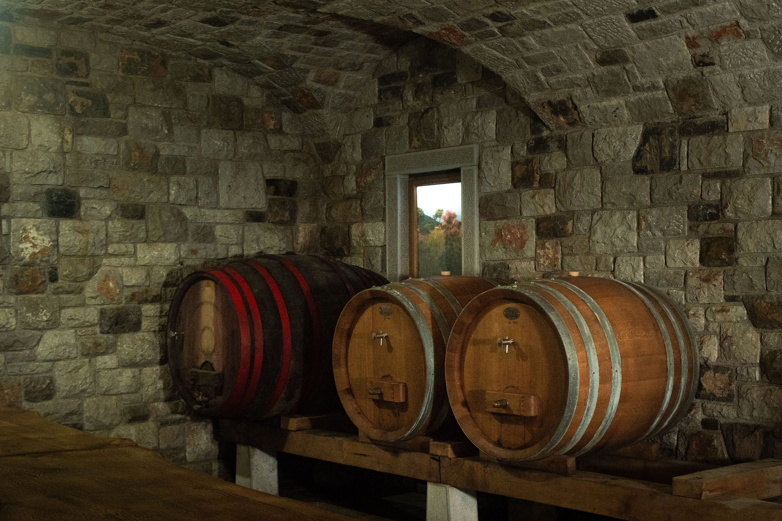 Projekti. Fotografinja in videografinja Mariia Bortiakova iz Slovenije: fotografiranje dogodkov, portretov in snemanje videov po vsej Sloveniji