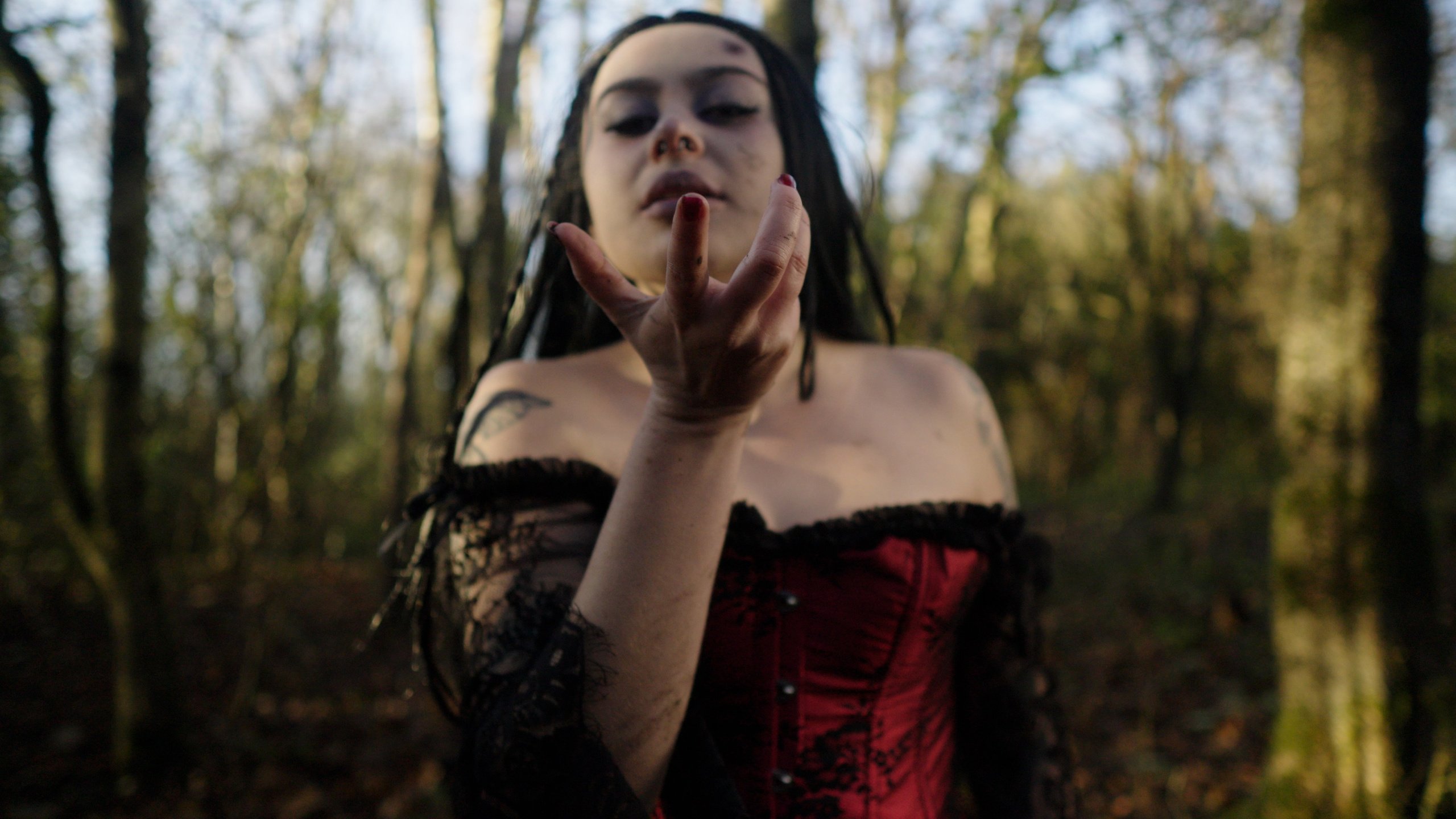 Dead Kitty Photoset. Molfar Visuals