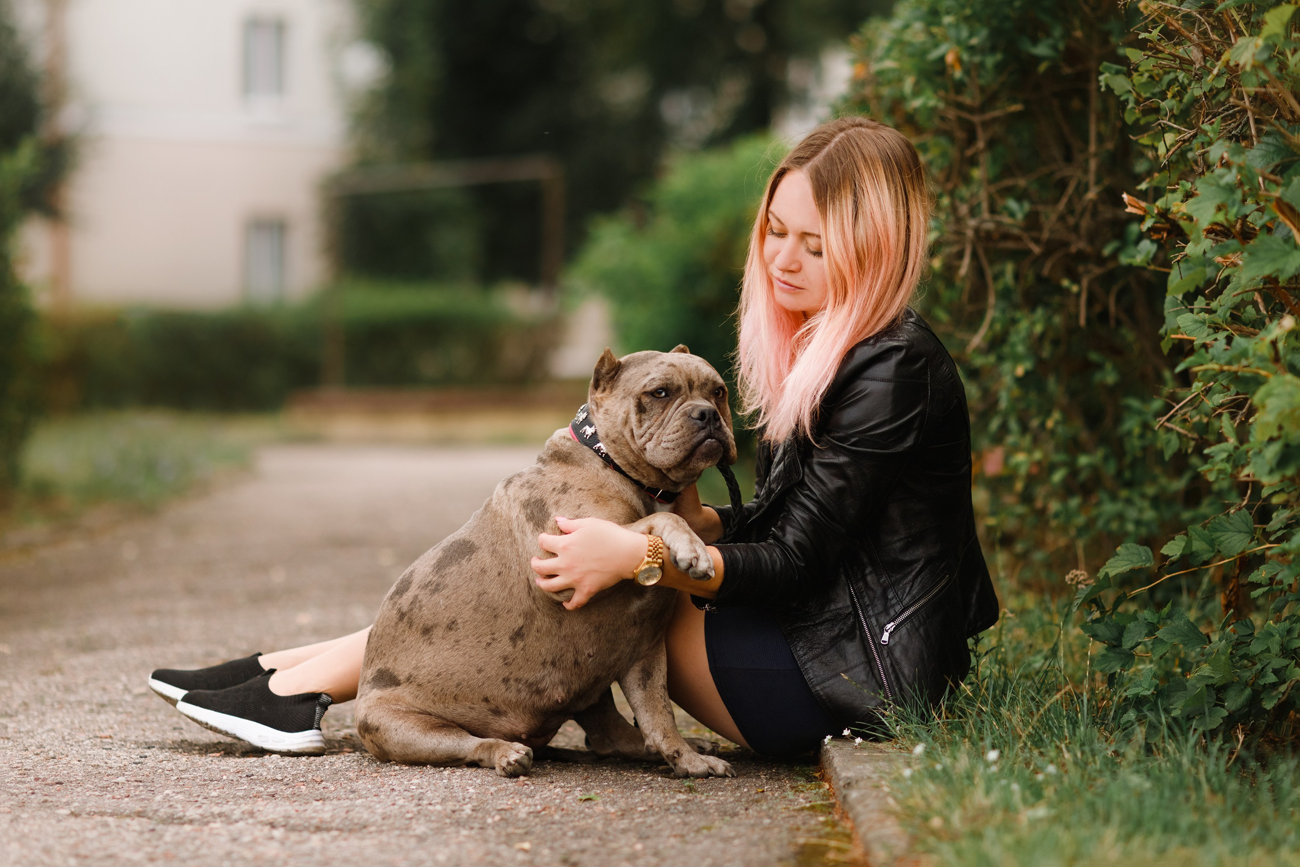 Alesya & her bullies. Kaja | fotograf we Wrocławiu | ludzie i psy