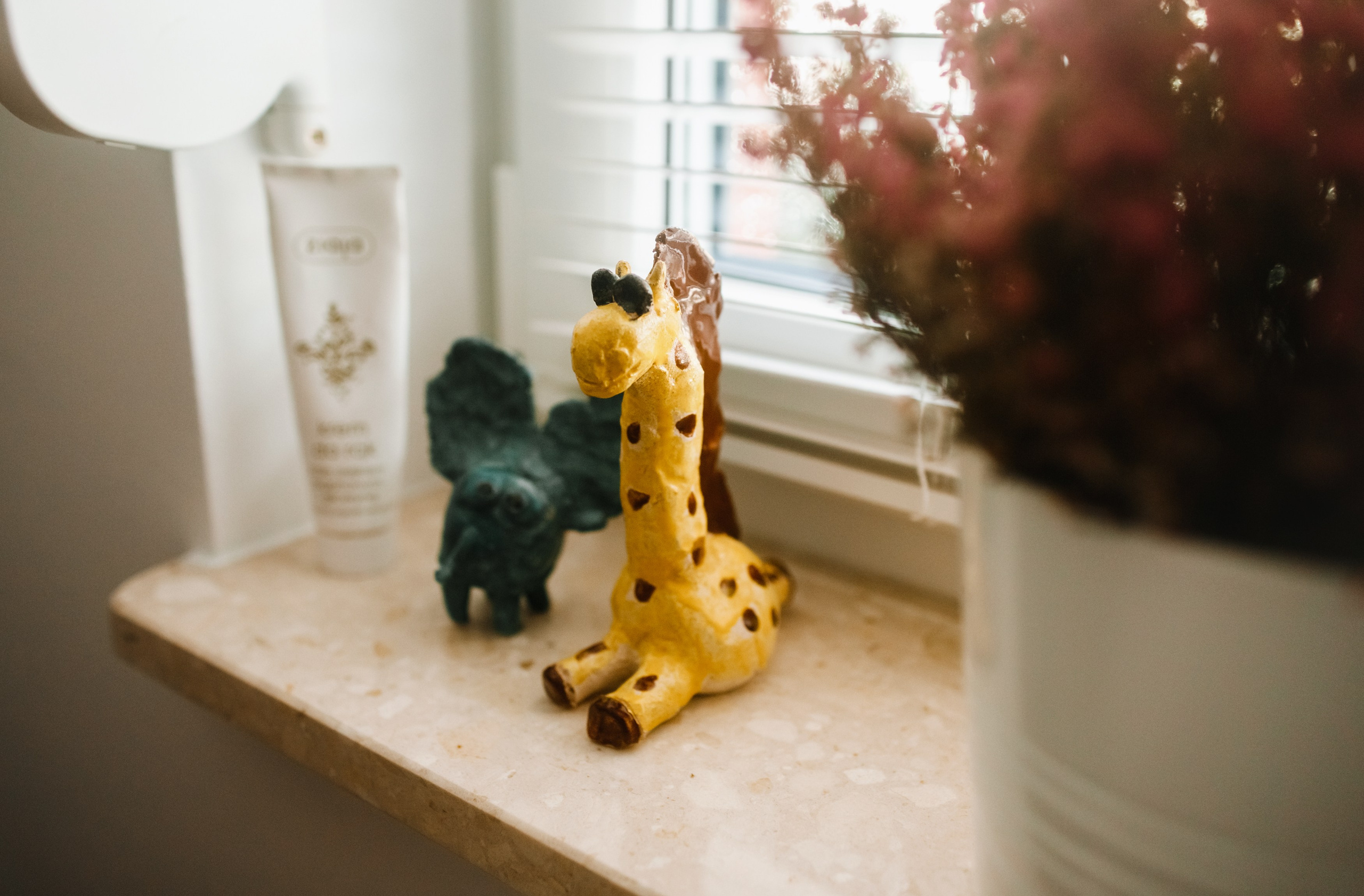 Małgorzata | business portrait. Kaja | fotograf we Wrocławiu | ludzie i psy