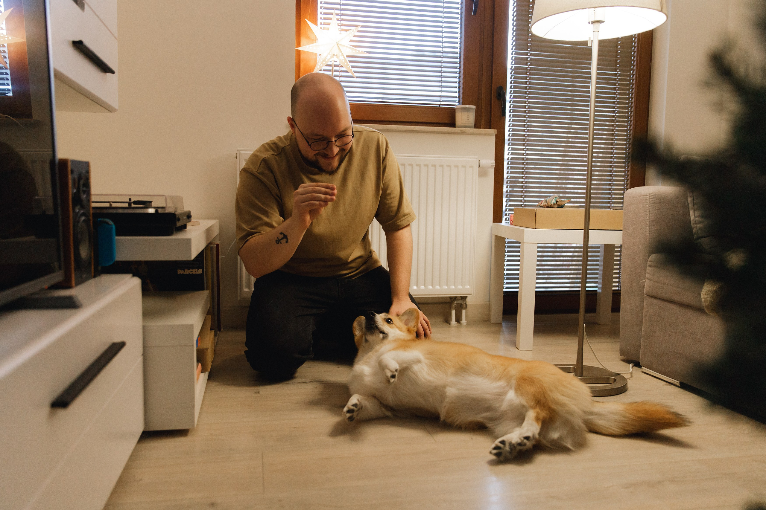 Dasha & Daisy. Kaja | fotograf psów we Wrocławiu