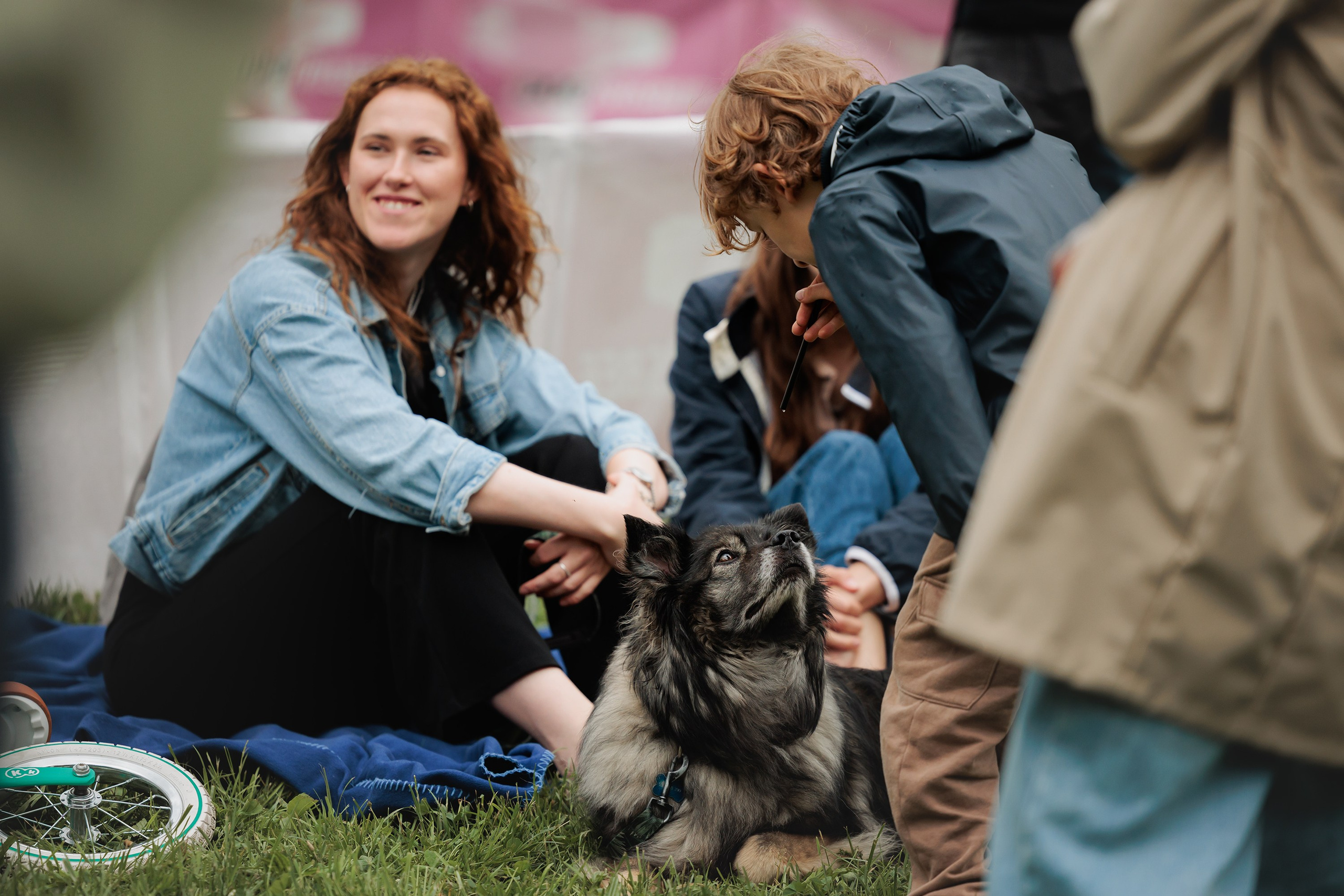 Latające psy, Wrocław'25. Kaja | fotograf psów we Wrocławiu