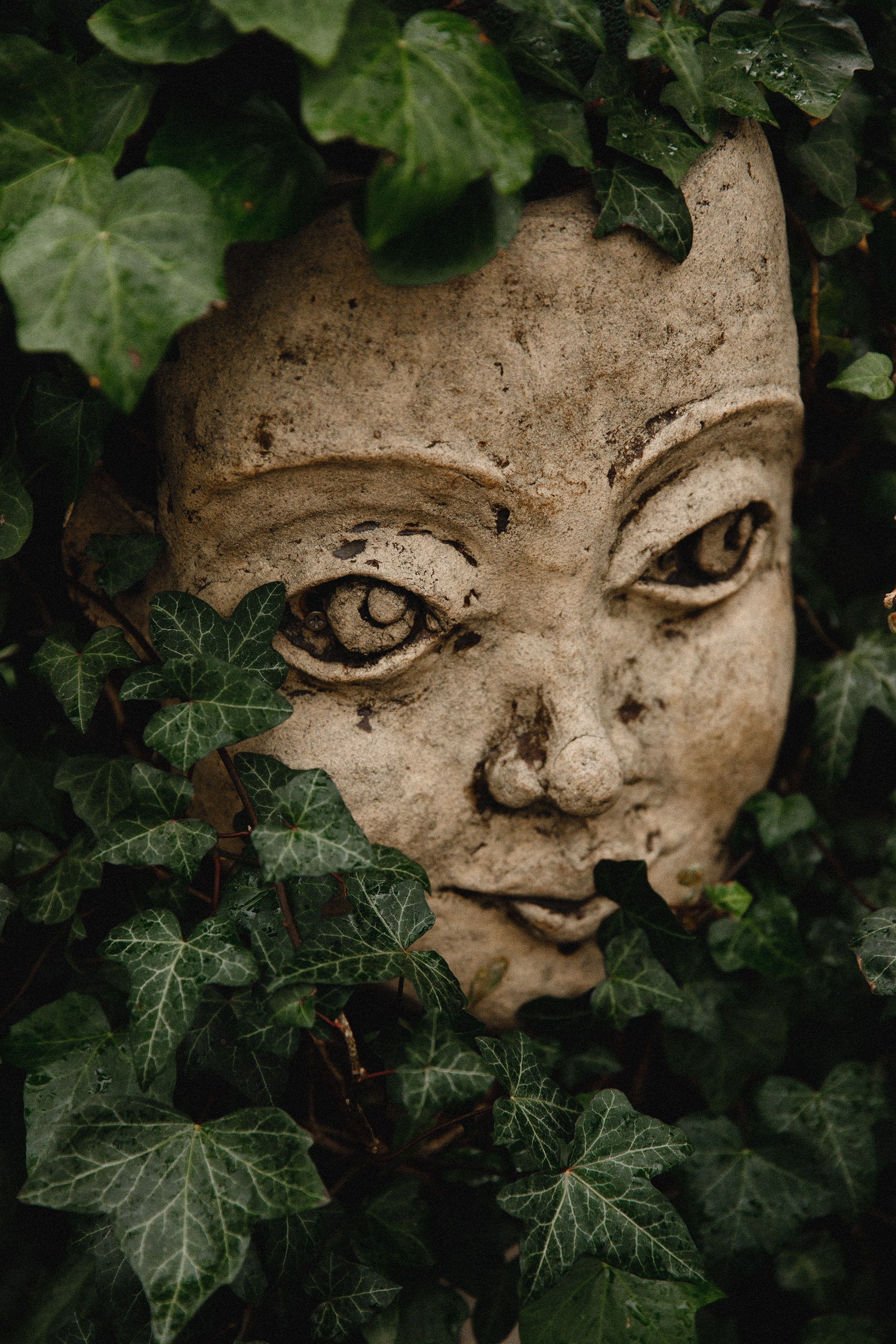 Botanical garden in Wroclaw. Kaja | fotograf we Wrocławiu | ludzie i psy