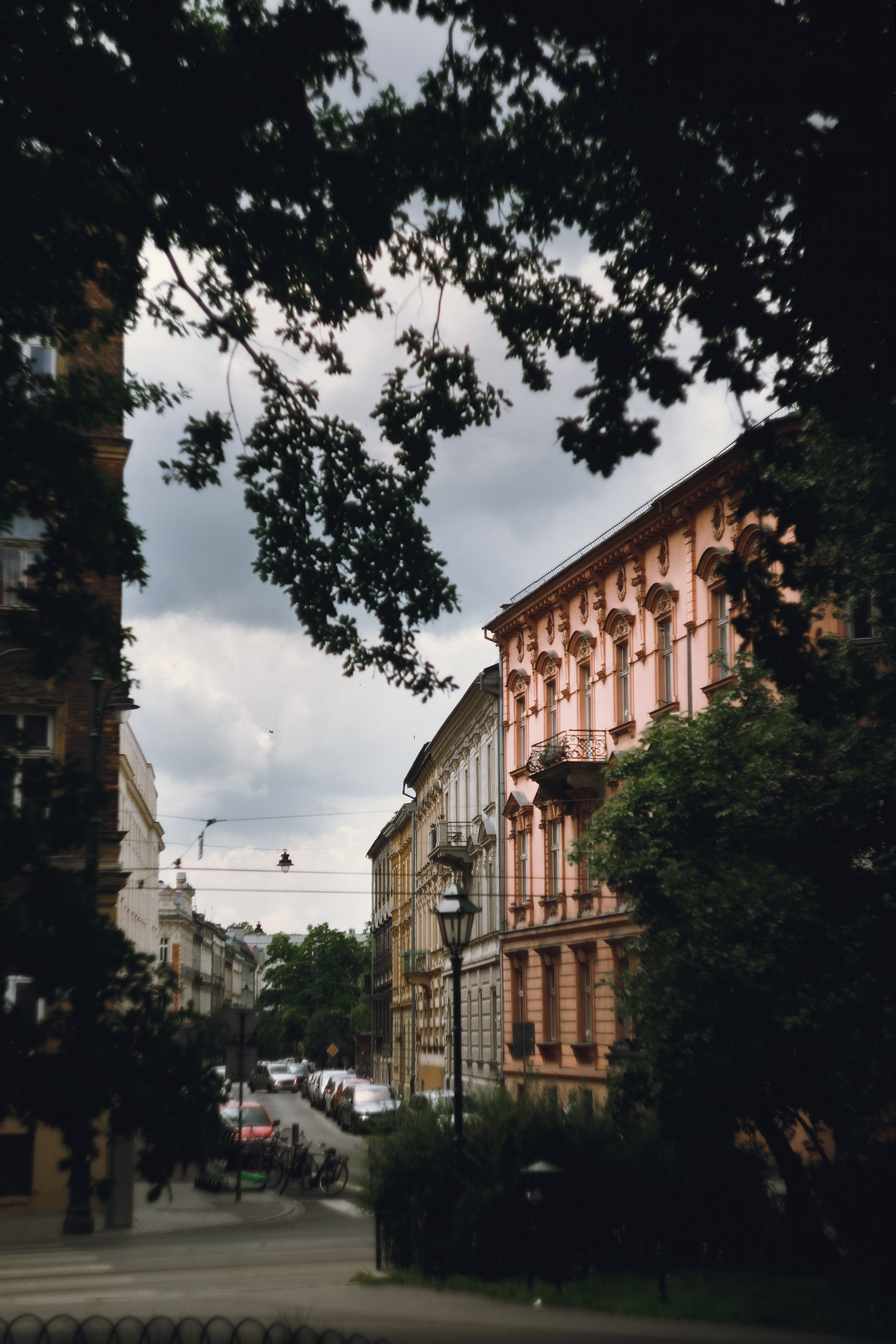 Krakow. Kaja | fotograf psów we Wrocławiu