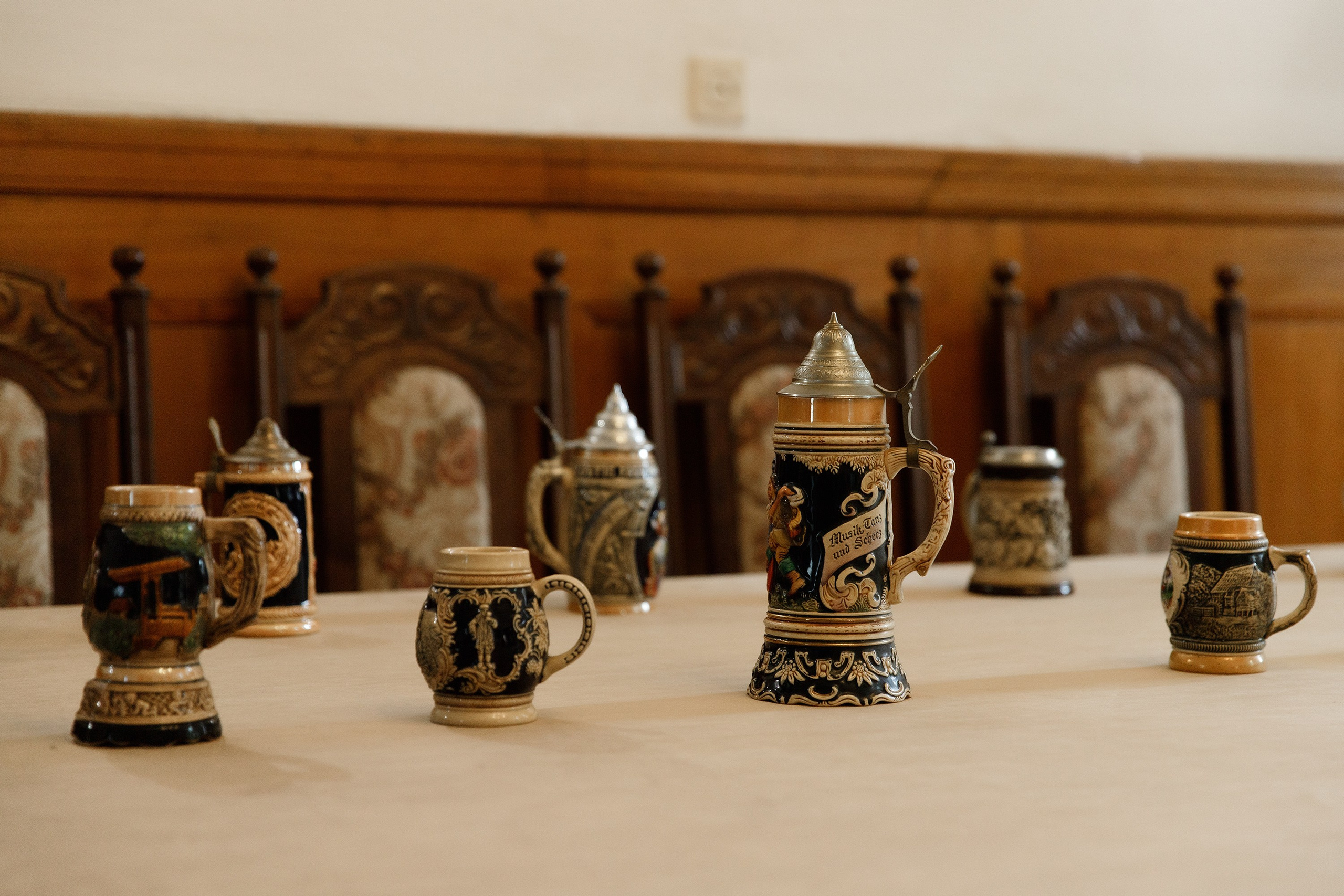 Oleśnica castle. Kaja | fotograf psów we Wrocławiu