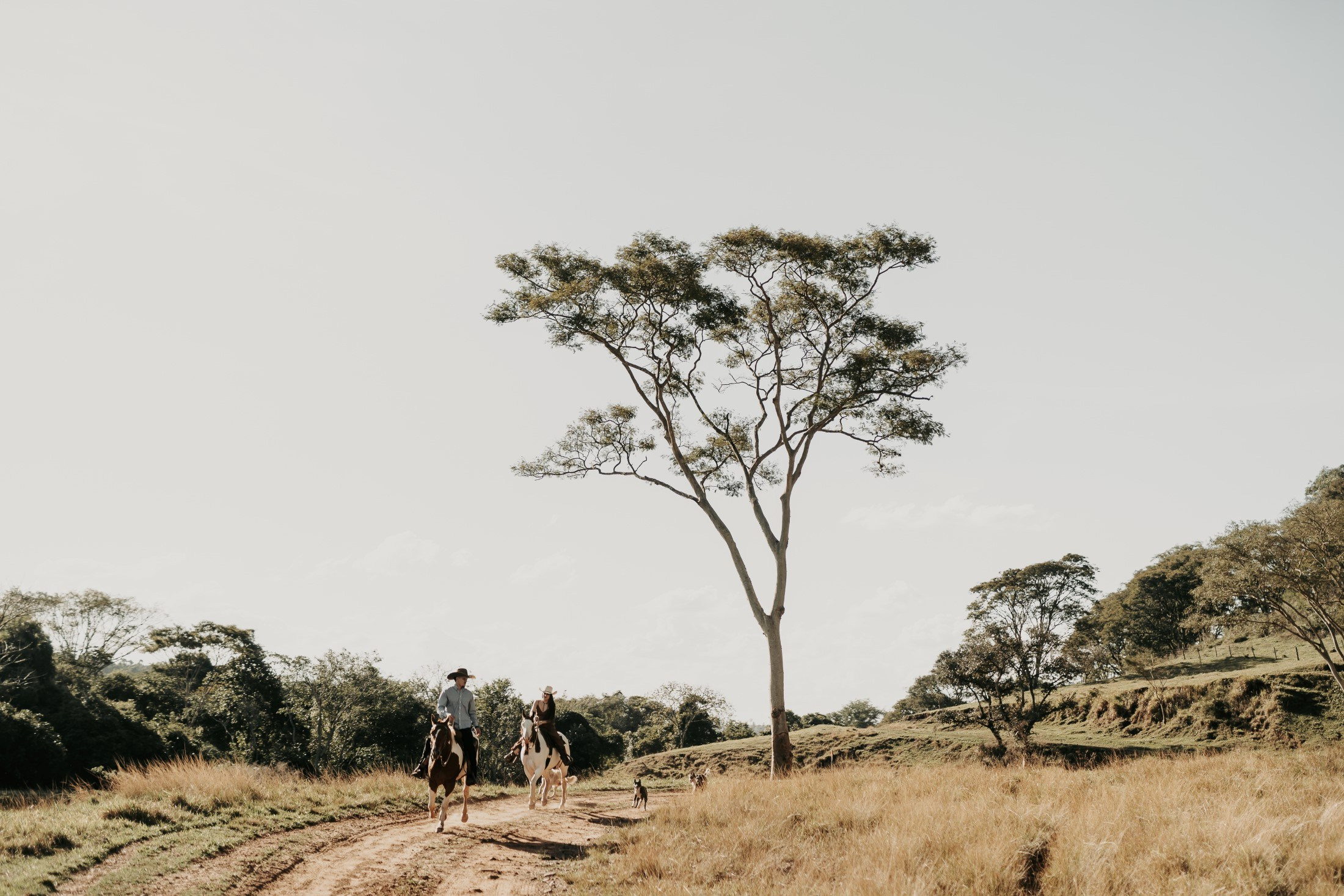 Pré Wedding — Amanda e Guilherme (Brotas — SP). Fotógrafo de casamento e Filmmaker de casamento