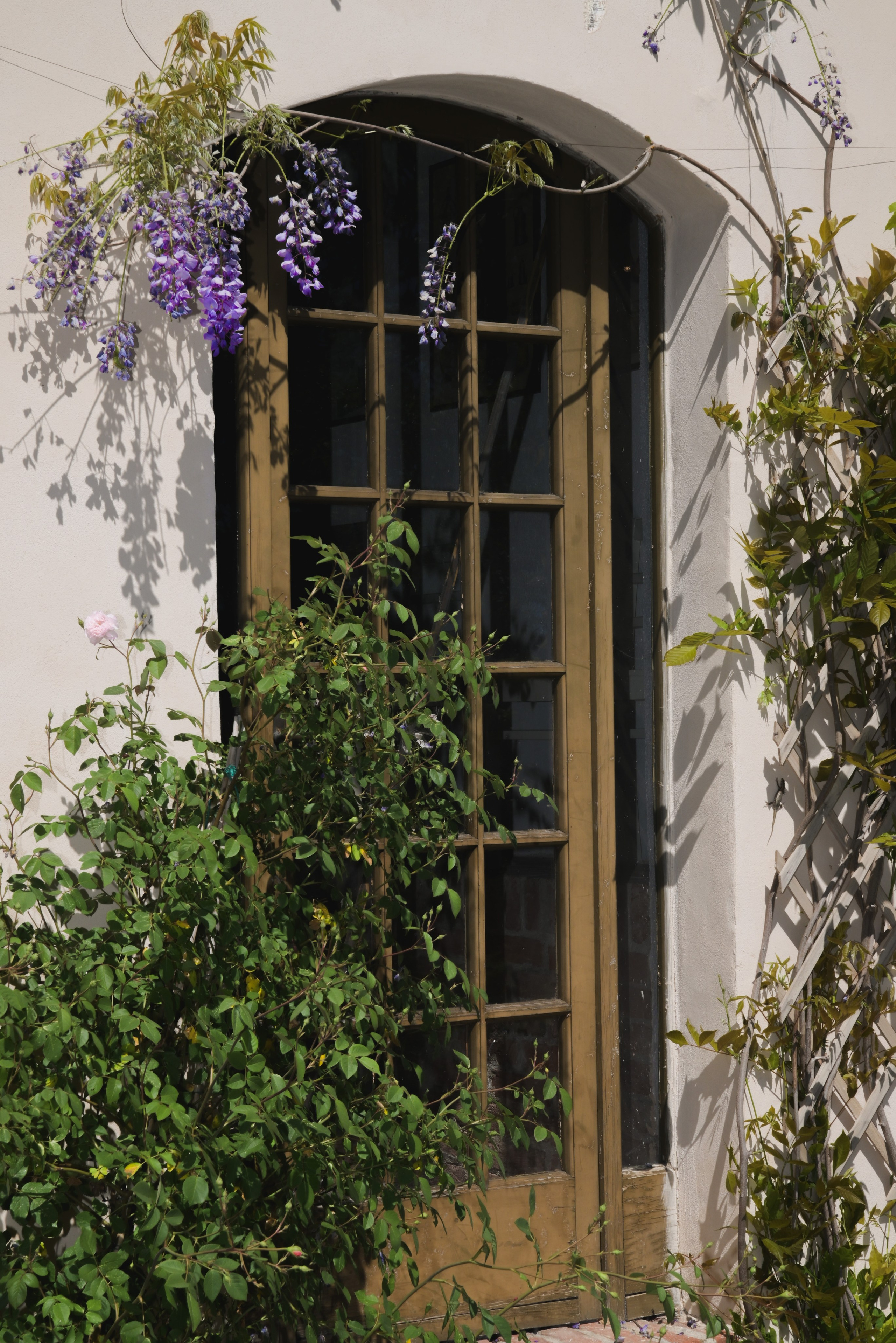 CONTENUTI DI UNA FFOD BLOGGER LIBANESE IN UN VIAGGIO IN ITALIA PER IMPARARE LA CUCINA ITALIANA