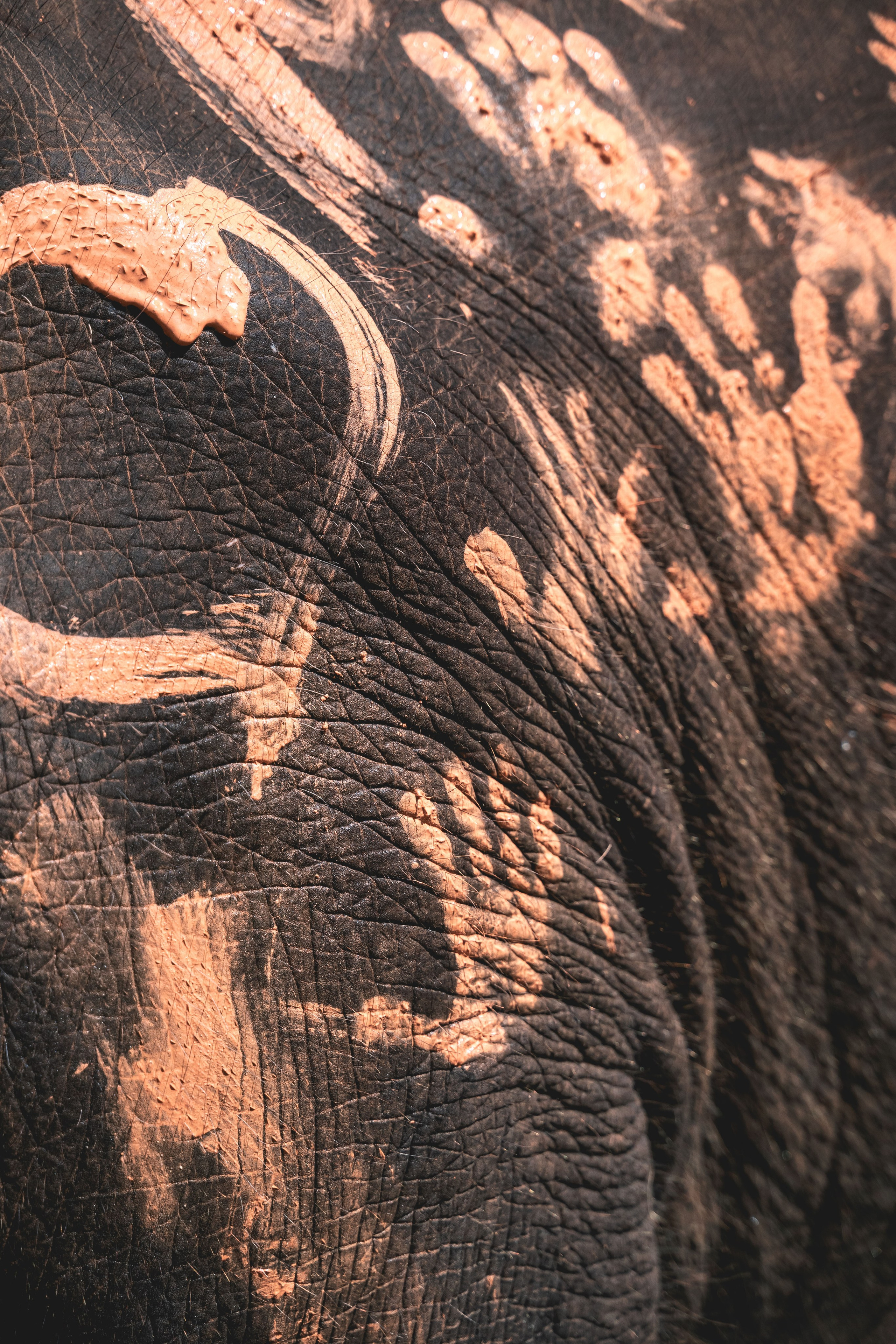 Семейные фотосессии на Пхукете. Фотограф на Пхукете Илья PERELUDE©