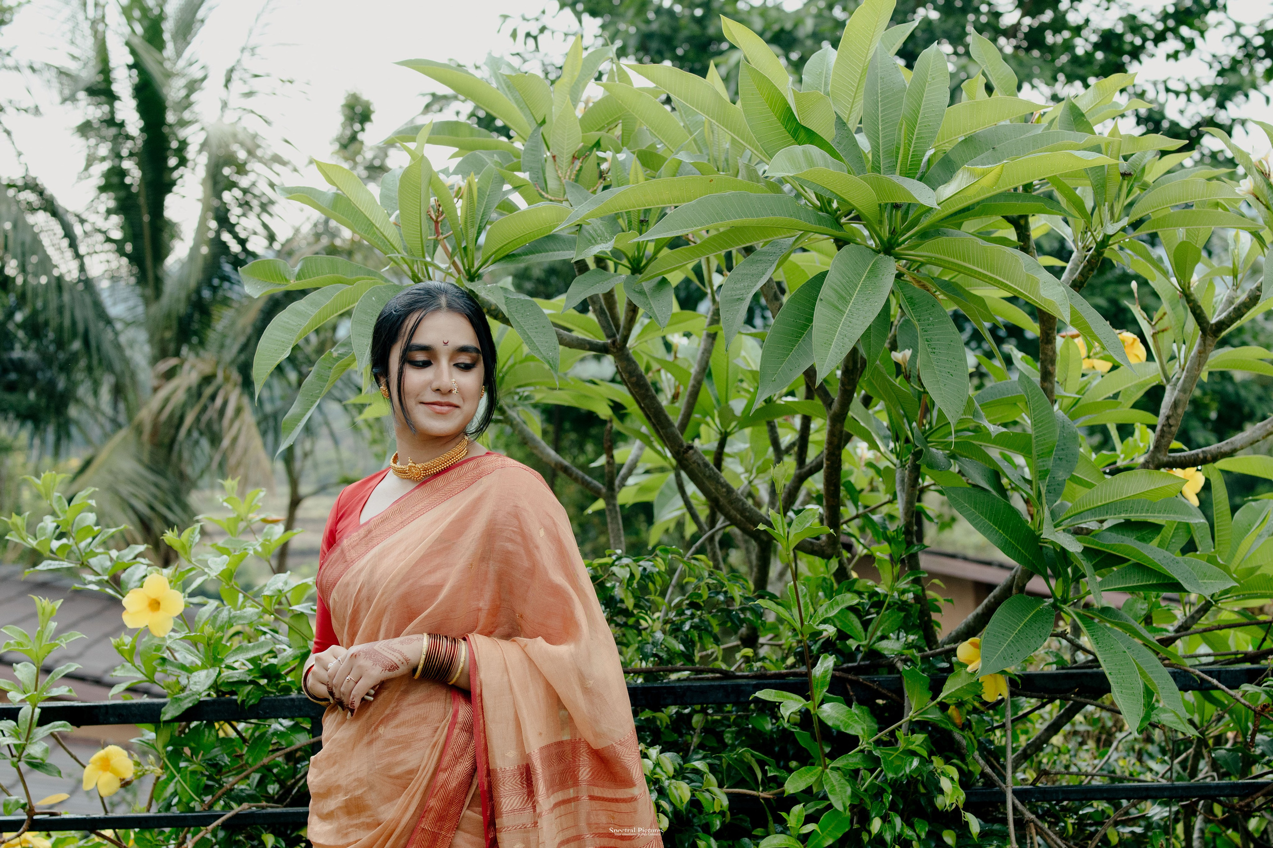 “Ankur & Malavika | Two States, One Soul”