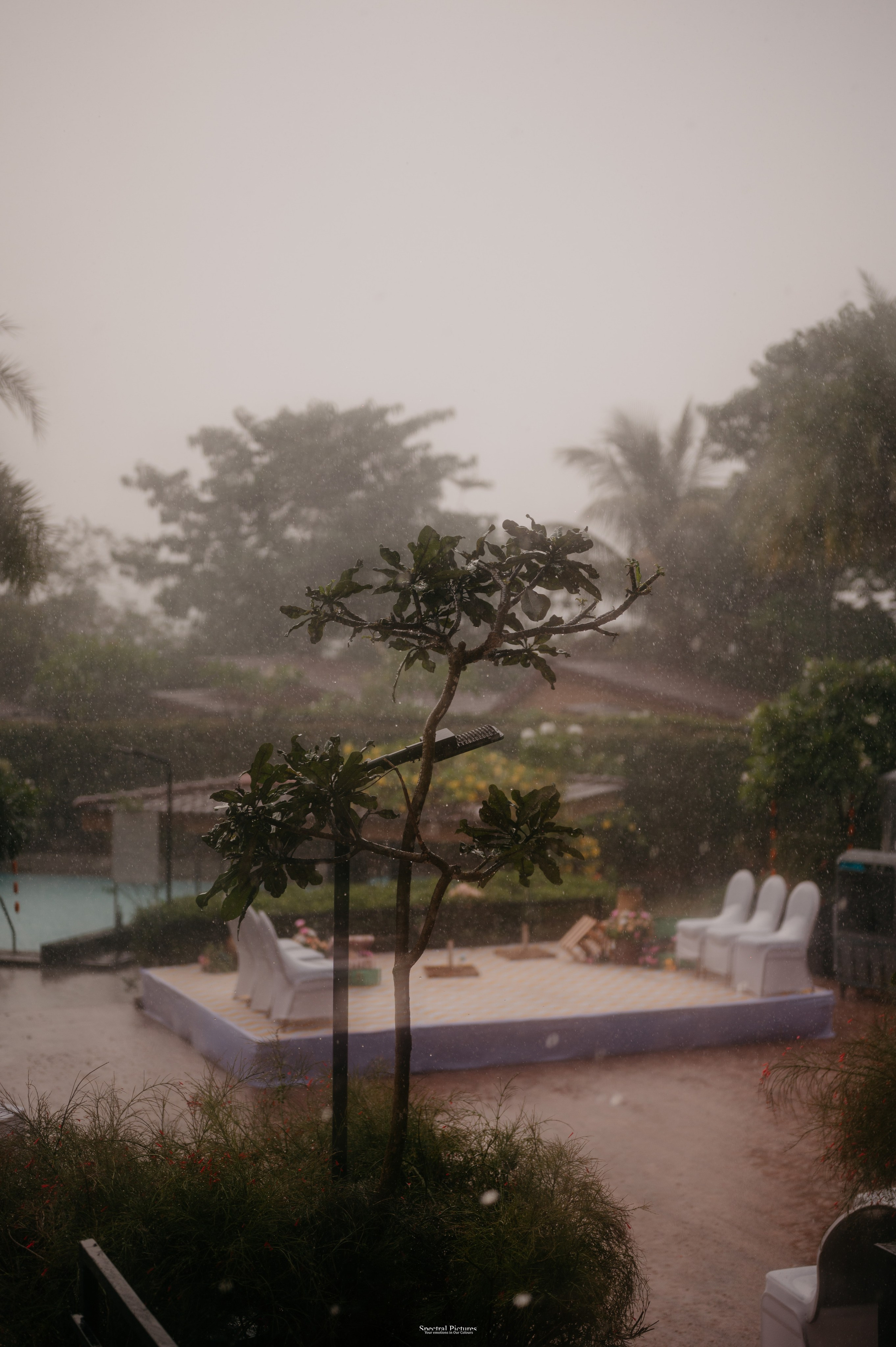 “Ankur & Malavika | Two States, One Soul”