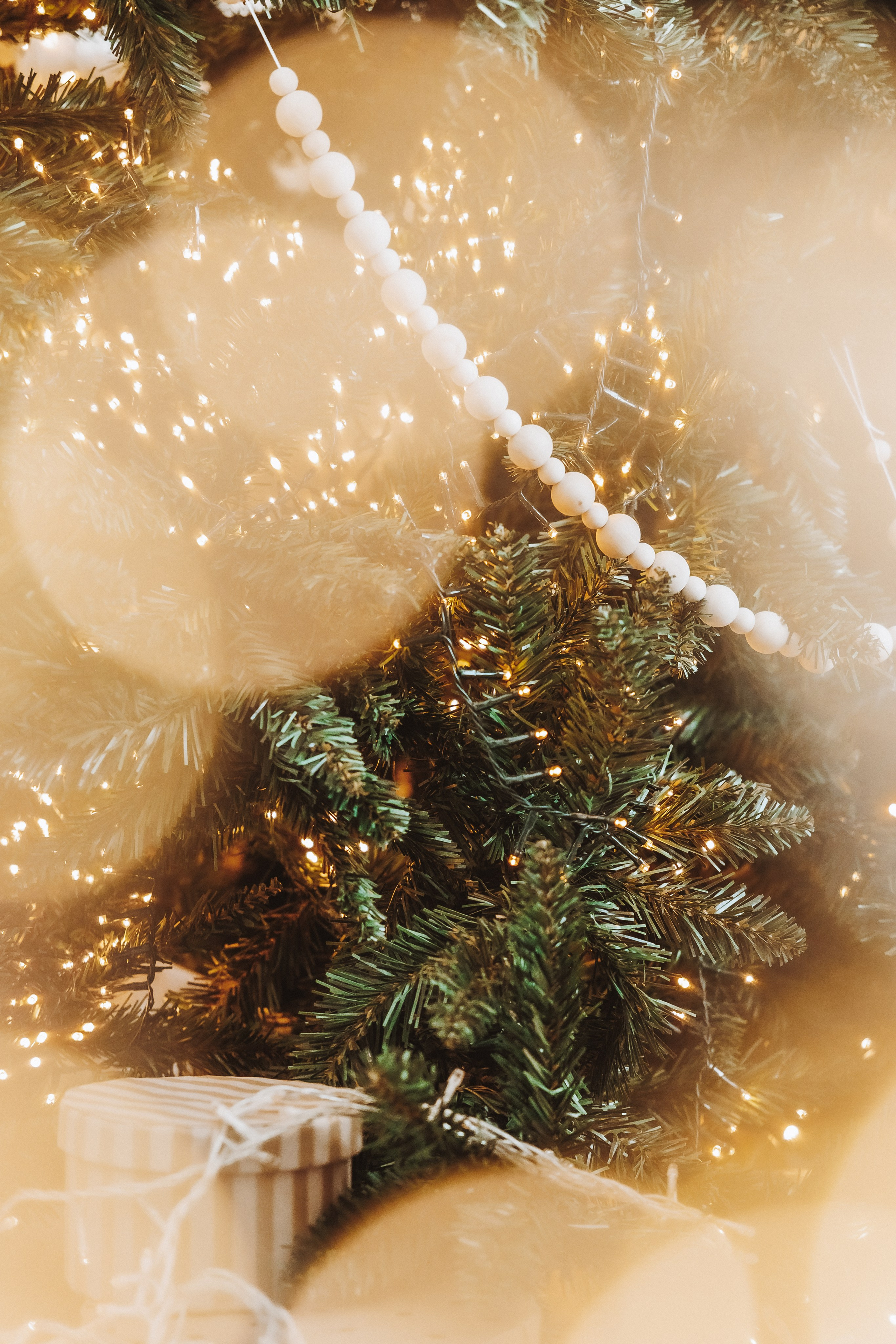 Декор 2023-24. Фотограф Ирина Йотова