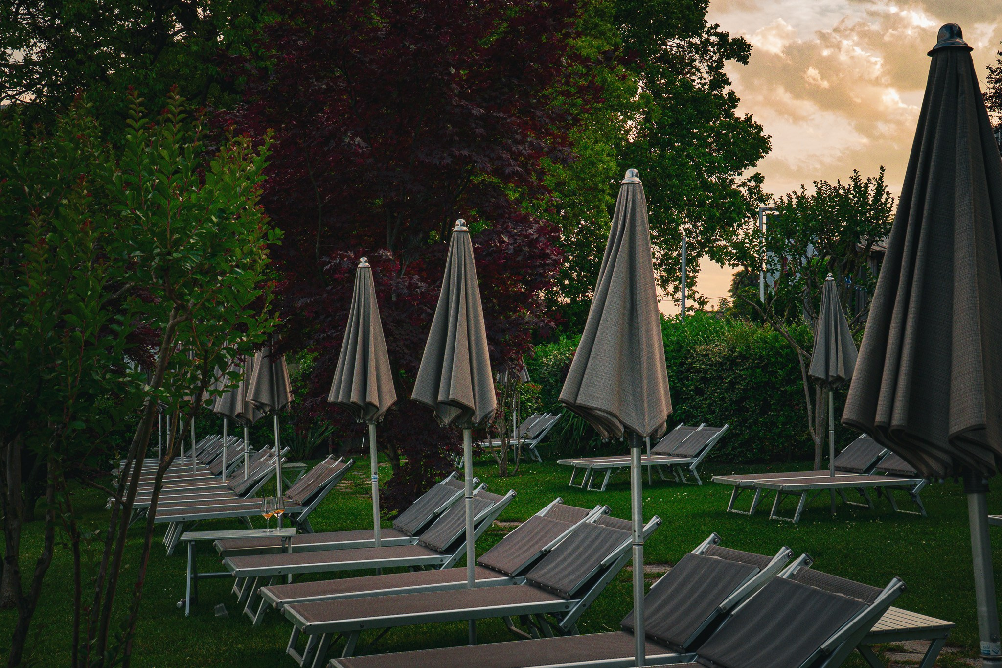 Parco San Marco. Creste si calatoreste
