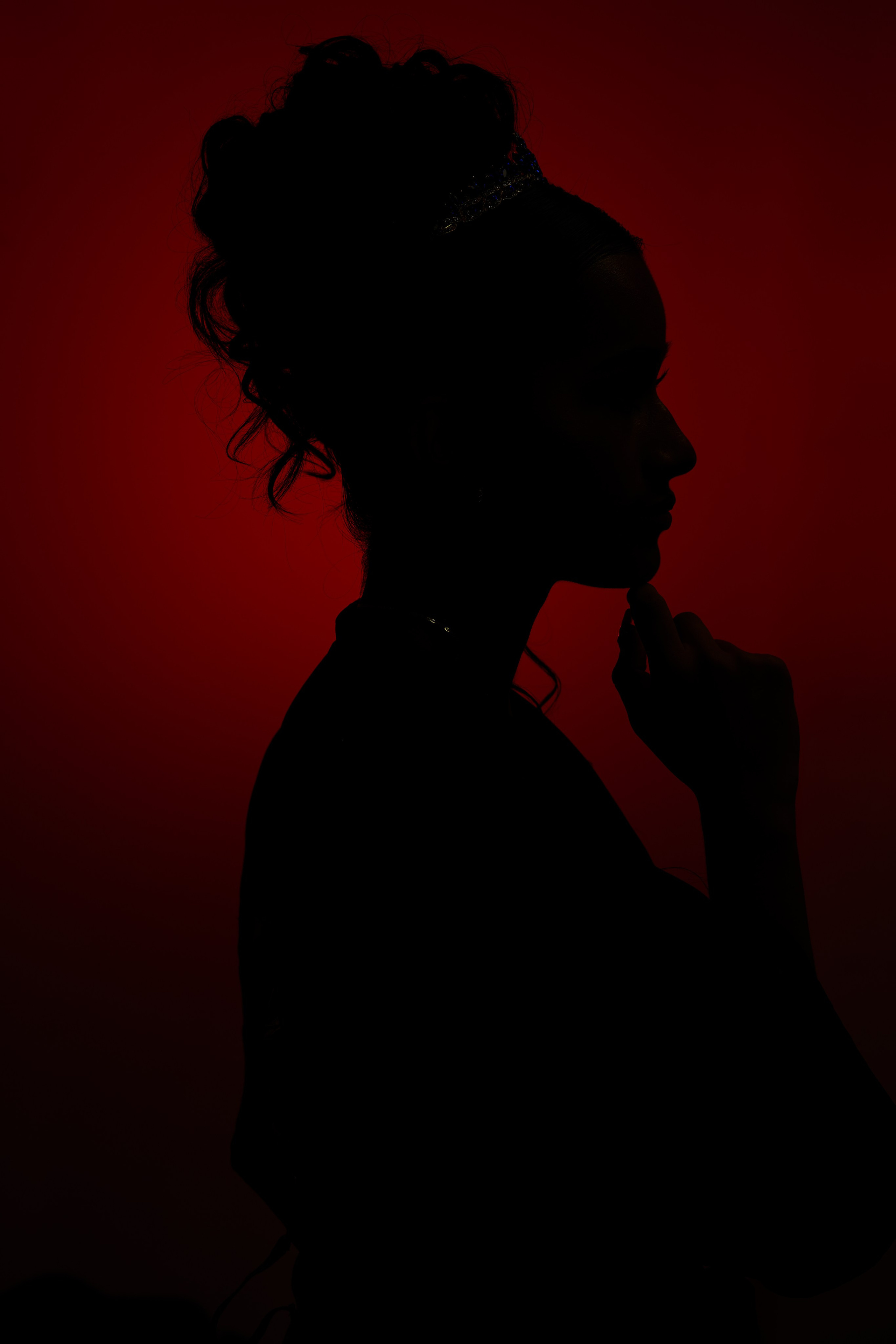 Professional Photography