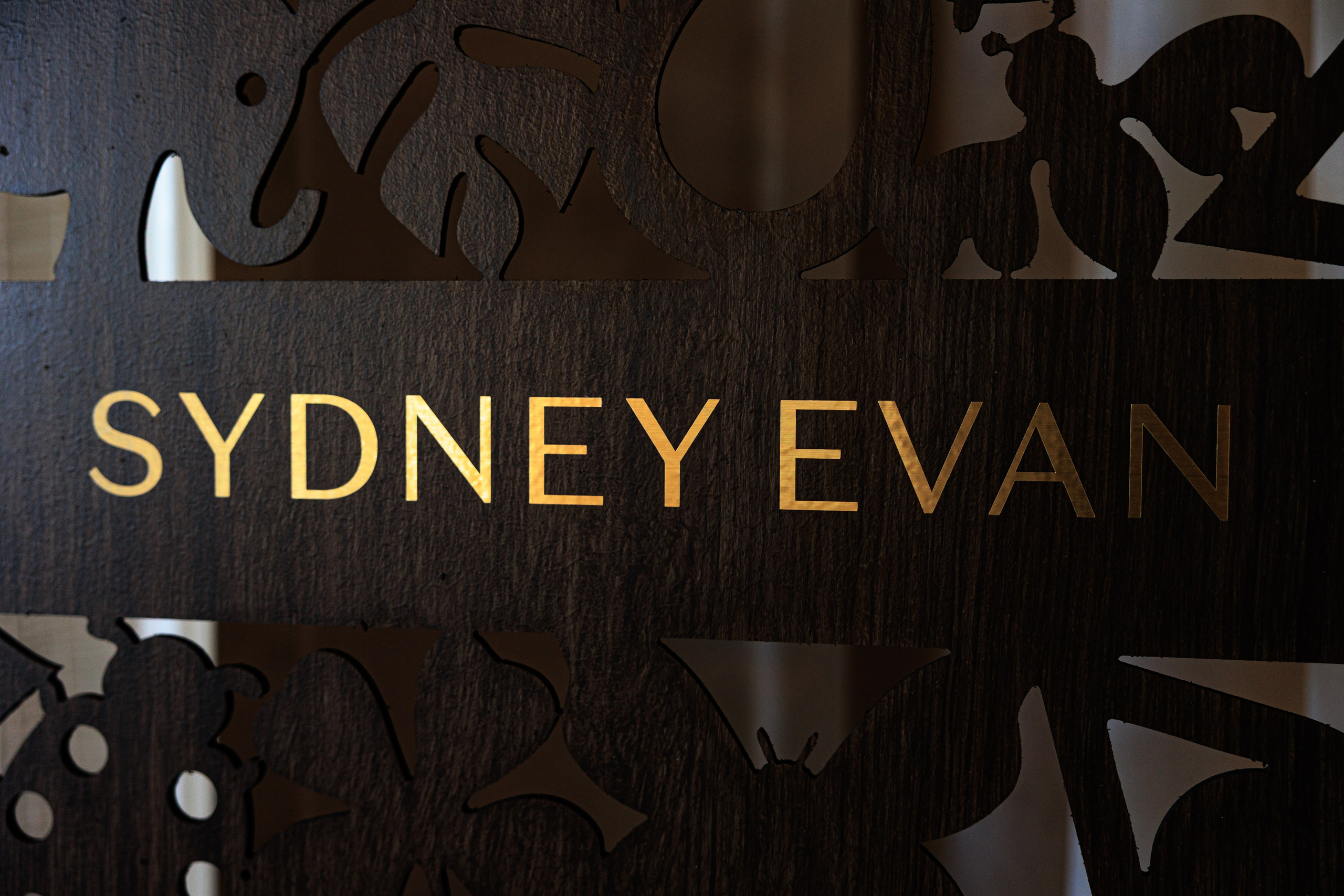Sydney Evan. LAS VEGAS PHOTOGRAPHER ALEKSANDRA KOLESNIKOVA