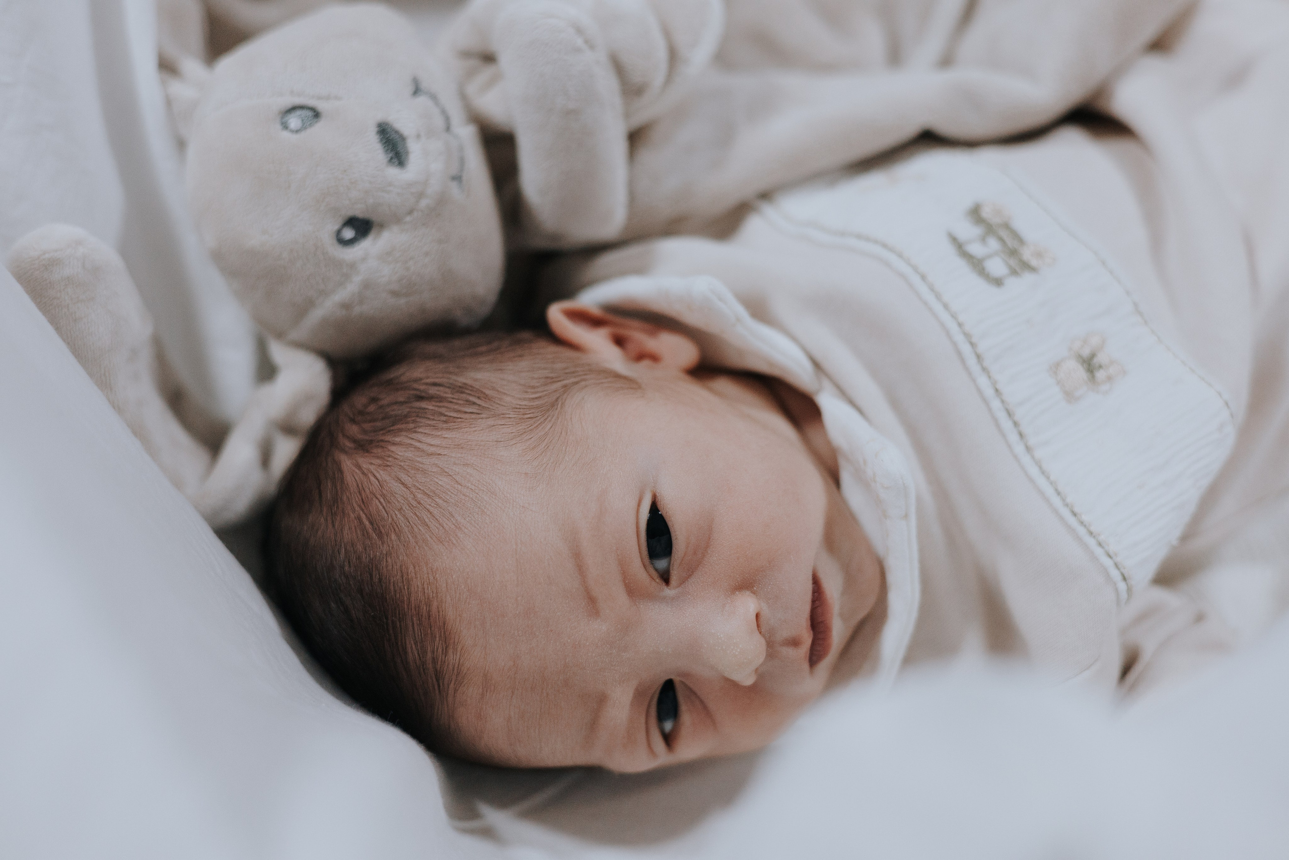 Bem vindo Arthur. Salvy fotografia