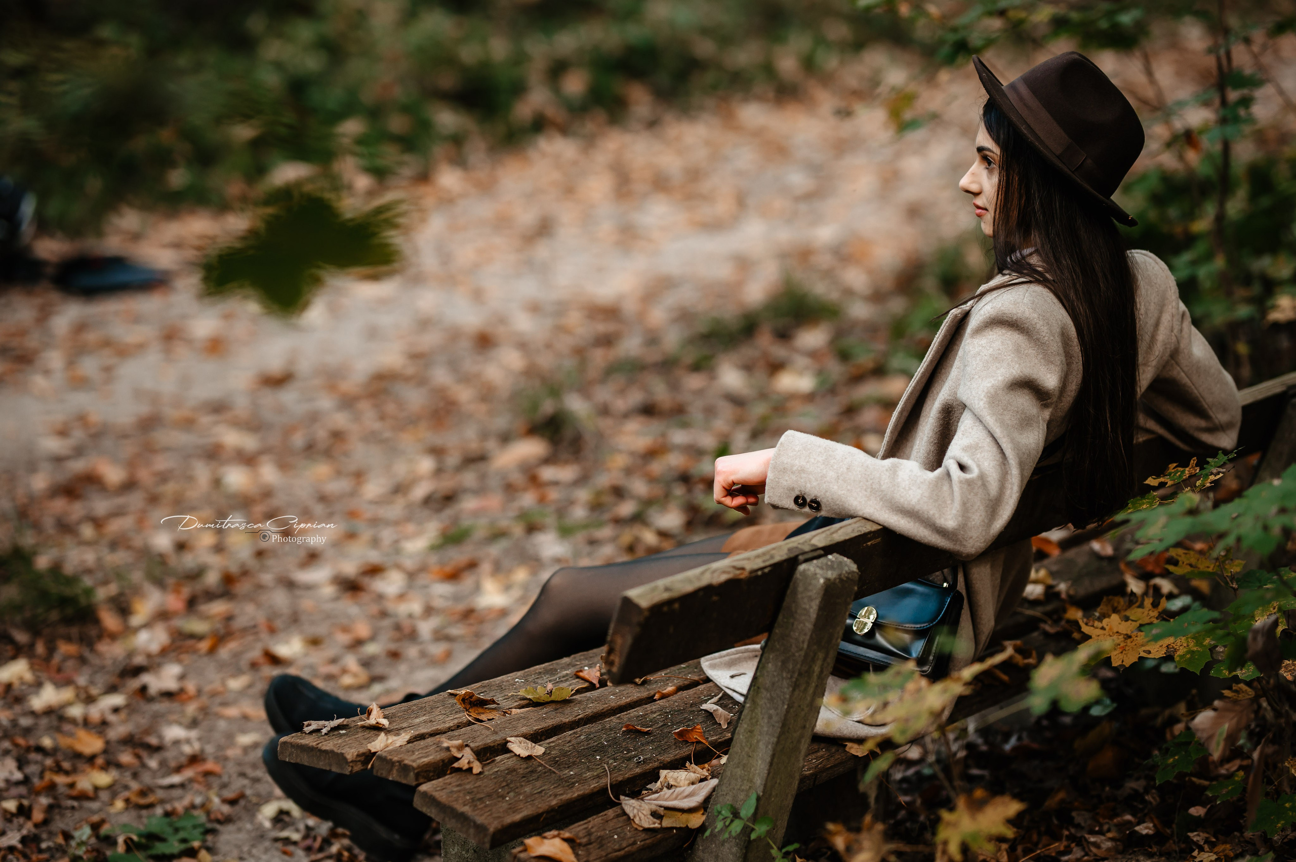Golden Fall. Dumitrasca Ciprian Photography
