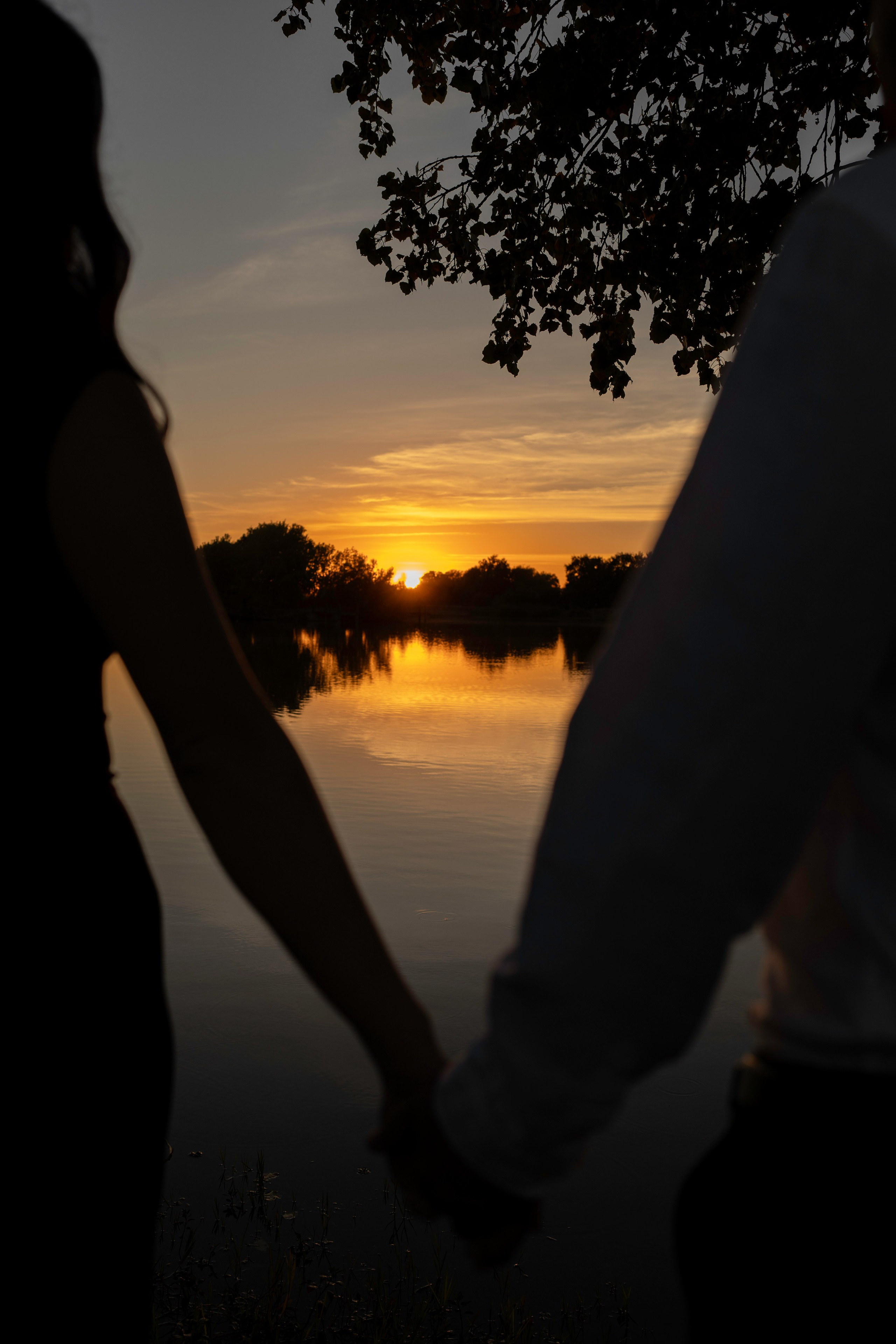 Roman and Yelena. Family photographer in Sacramento | Sofia Pavenko