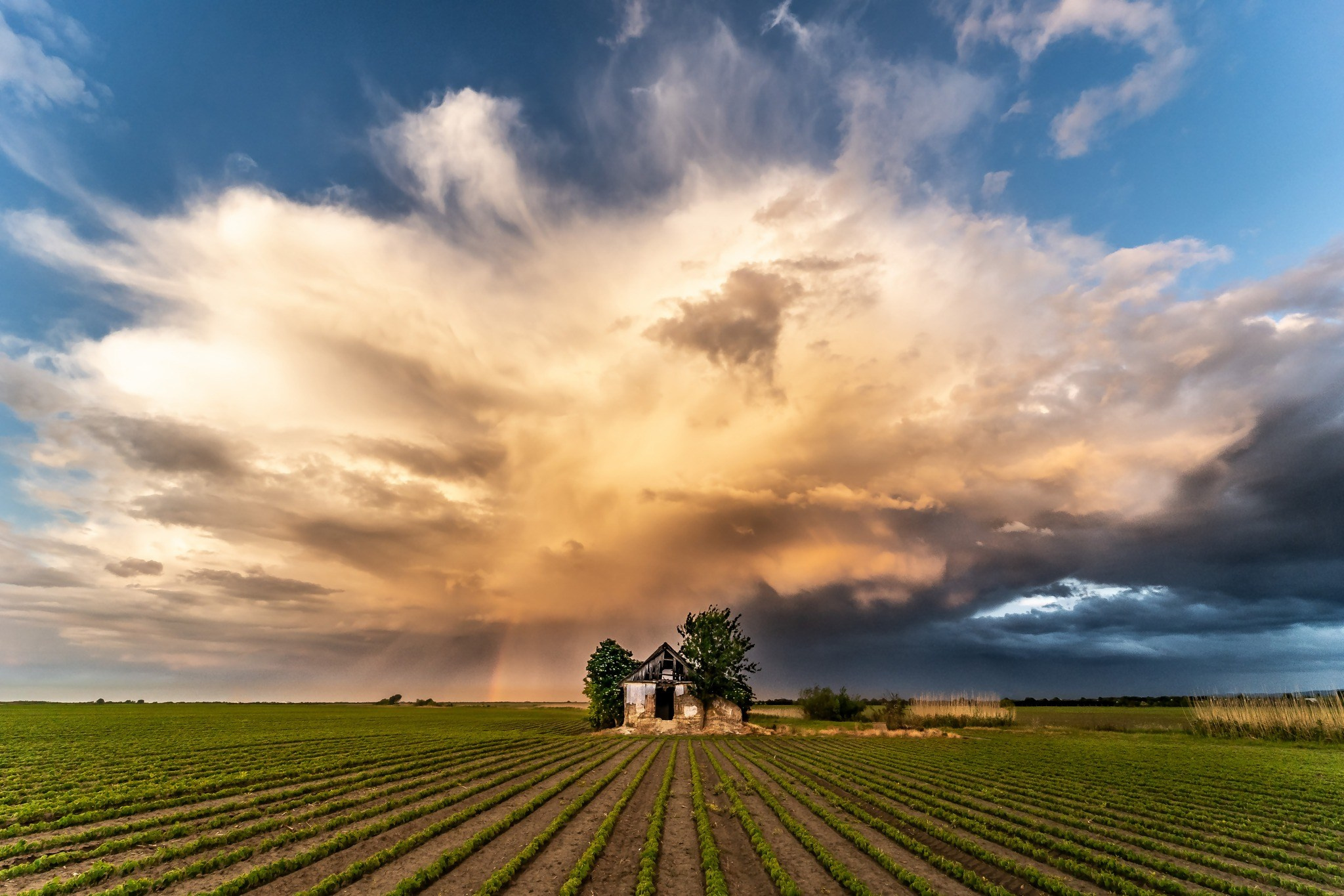 vojvodjanska ravnica