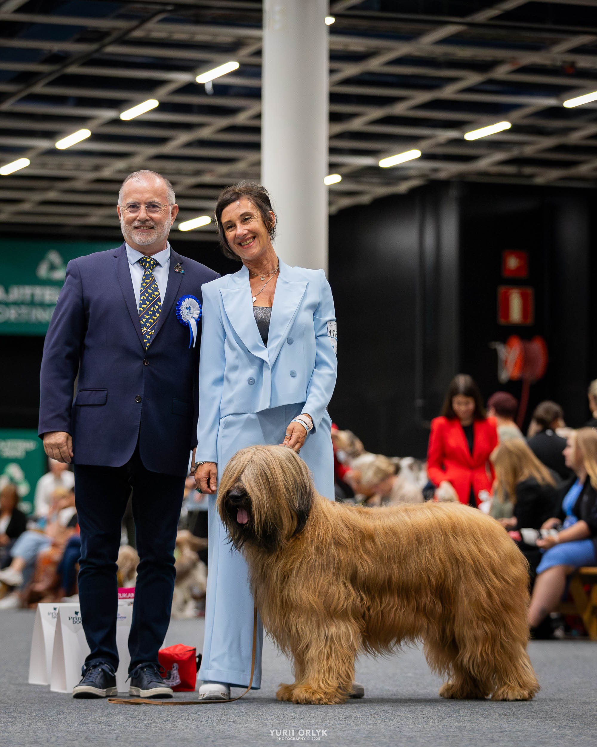 Dog Shows. Yurii Orlyk Photography